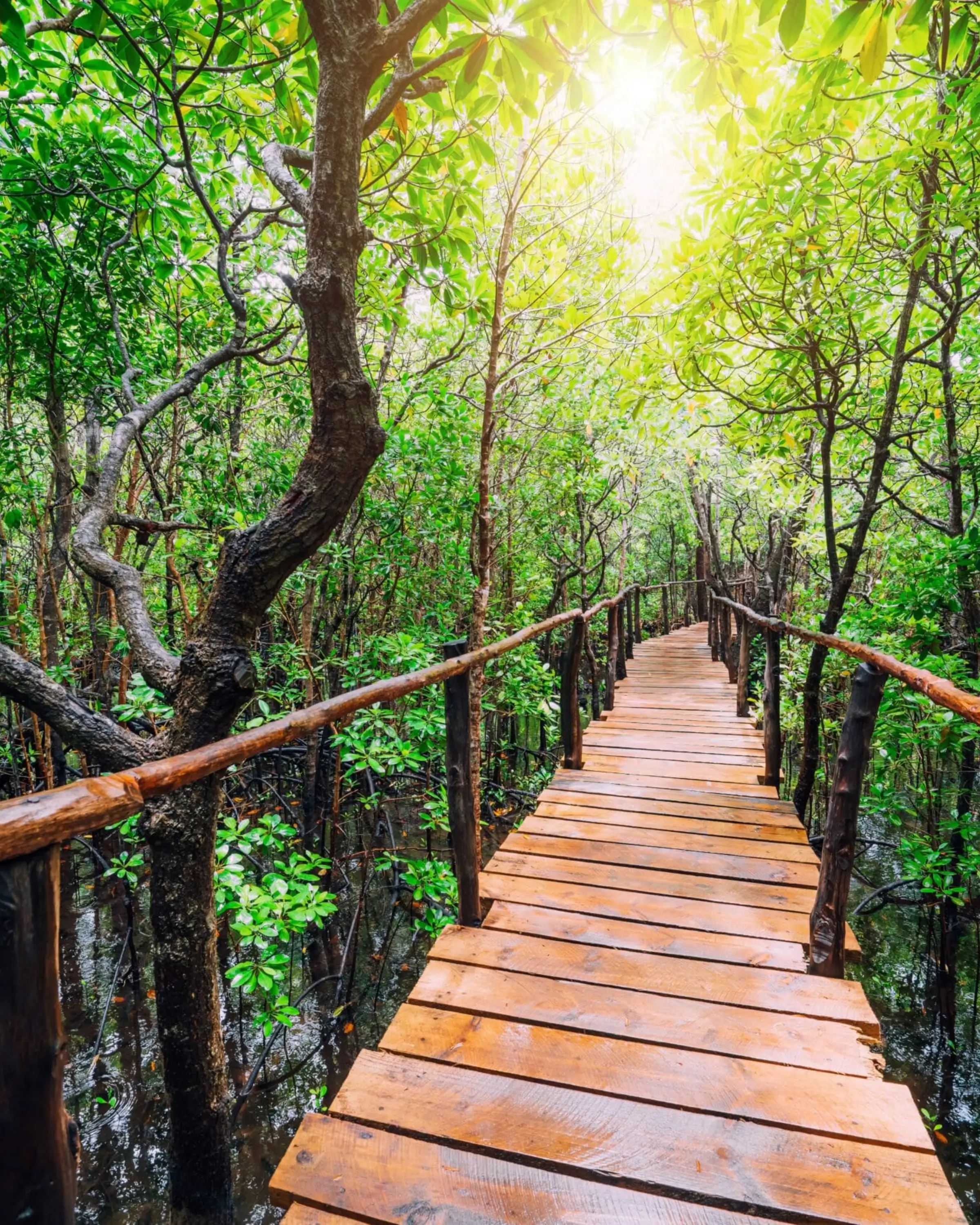 12 Days Honeymoon Safari in Tanzania Attraction