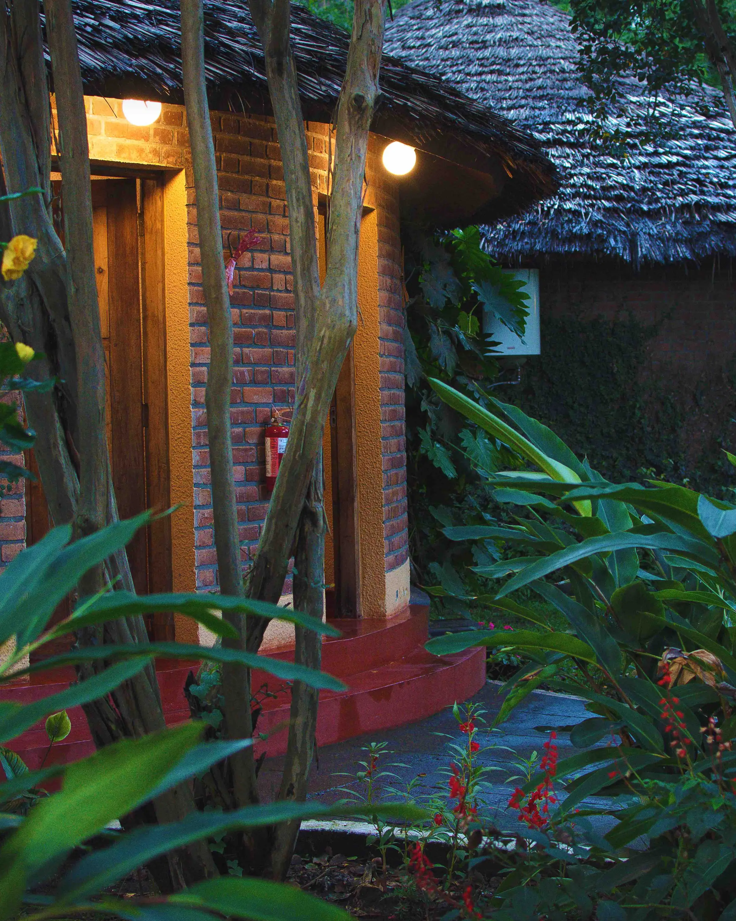12 Days Honeymoon Safari in Tanzania Lodge