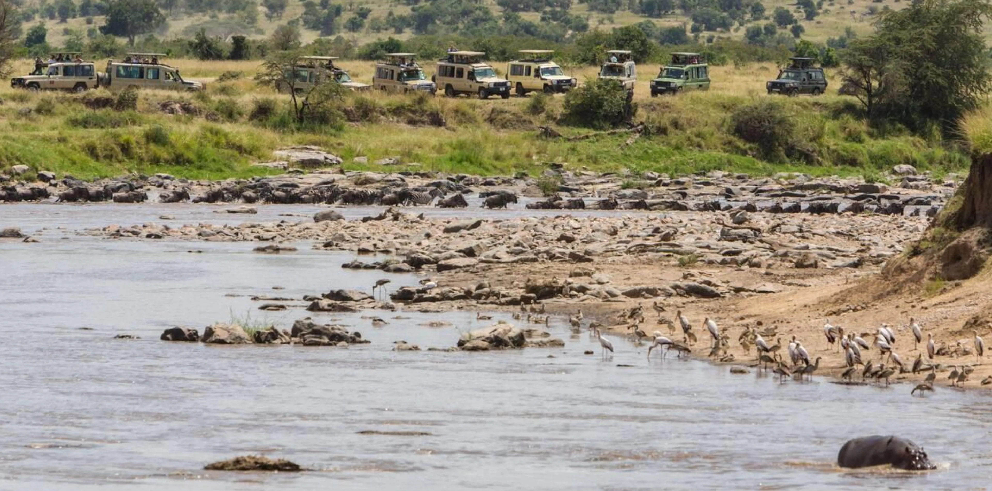 5 Days Wildebeest Migration Safari Attraction