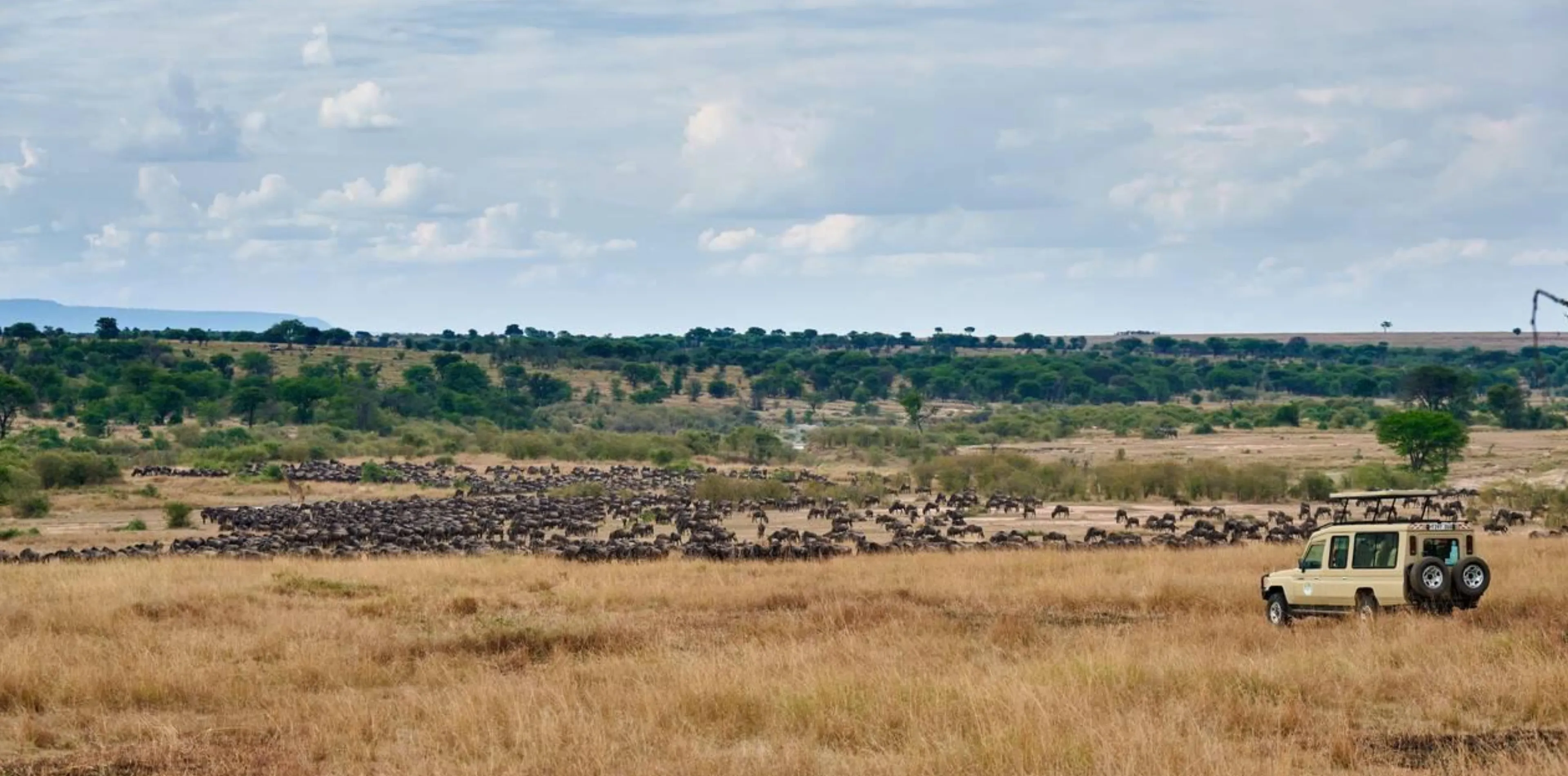 5 Days Wildebeest Migration Safari Attraction