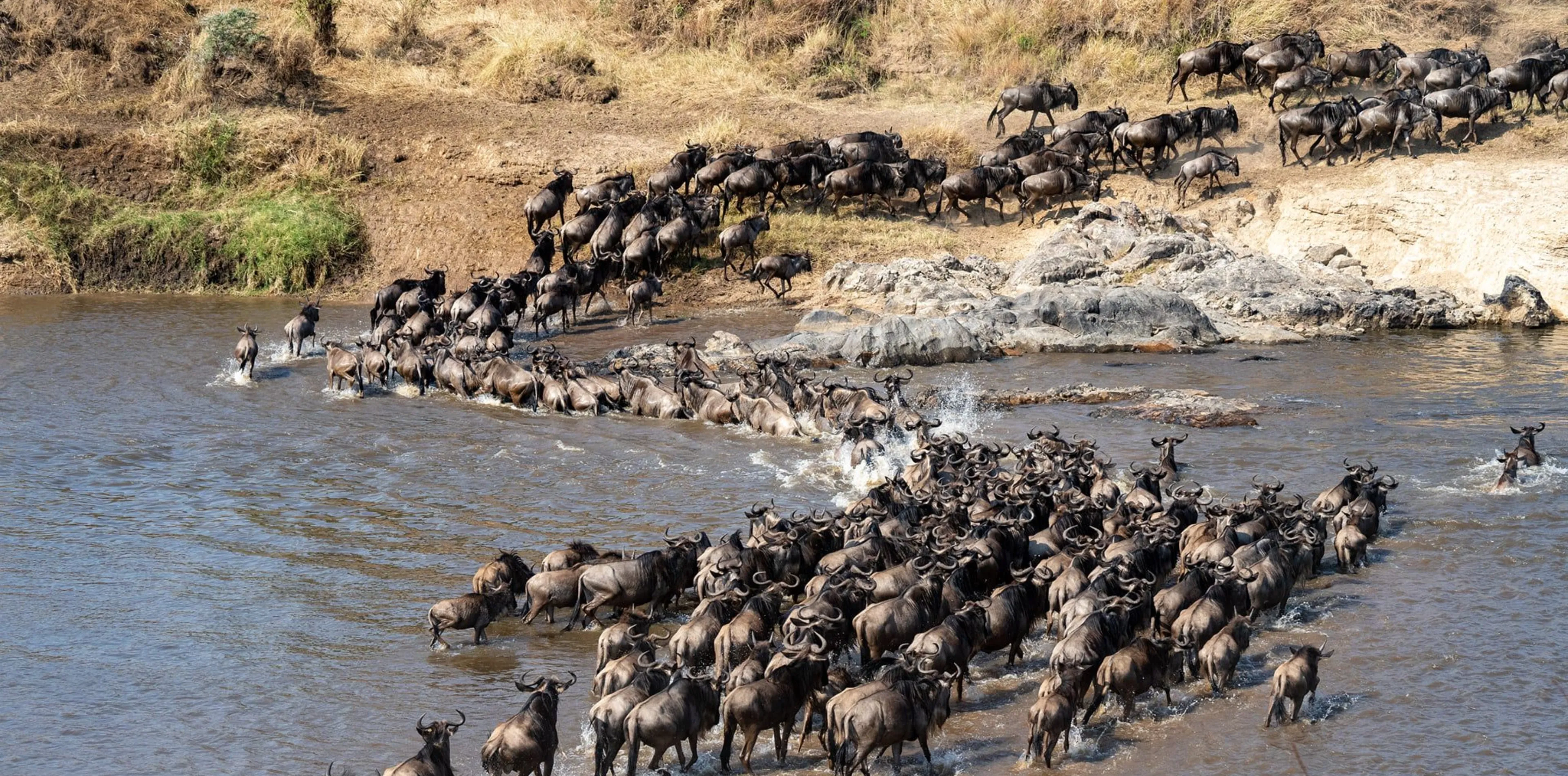 5 Days Wildebeest Migration Safari