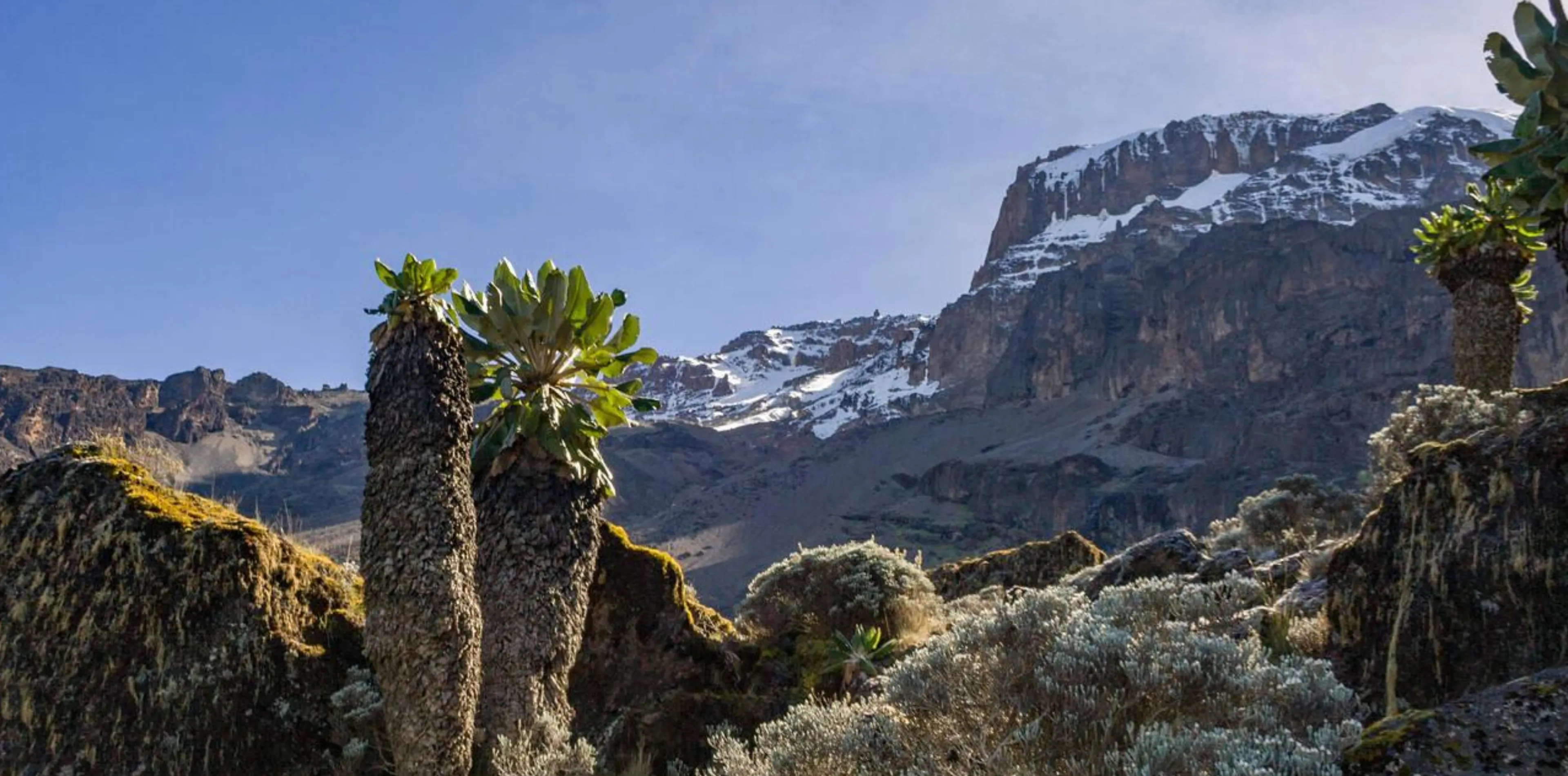 7 Days Machame Route Attractions
