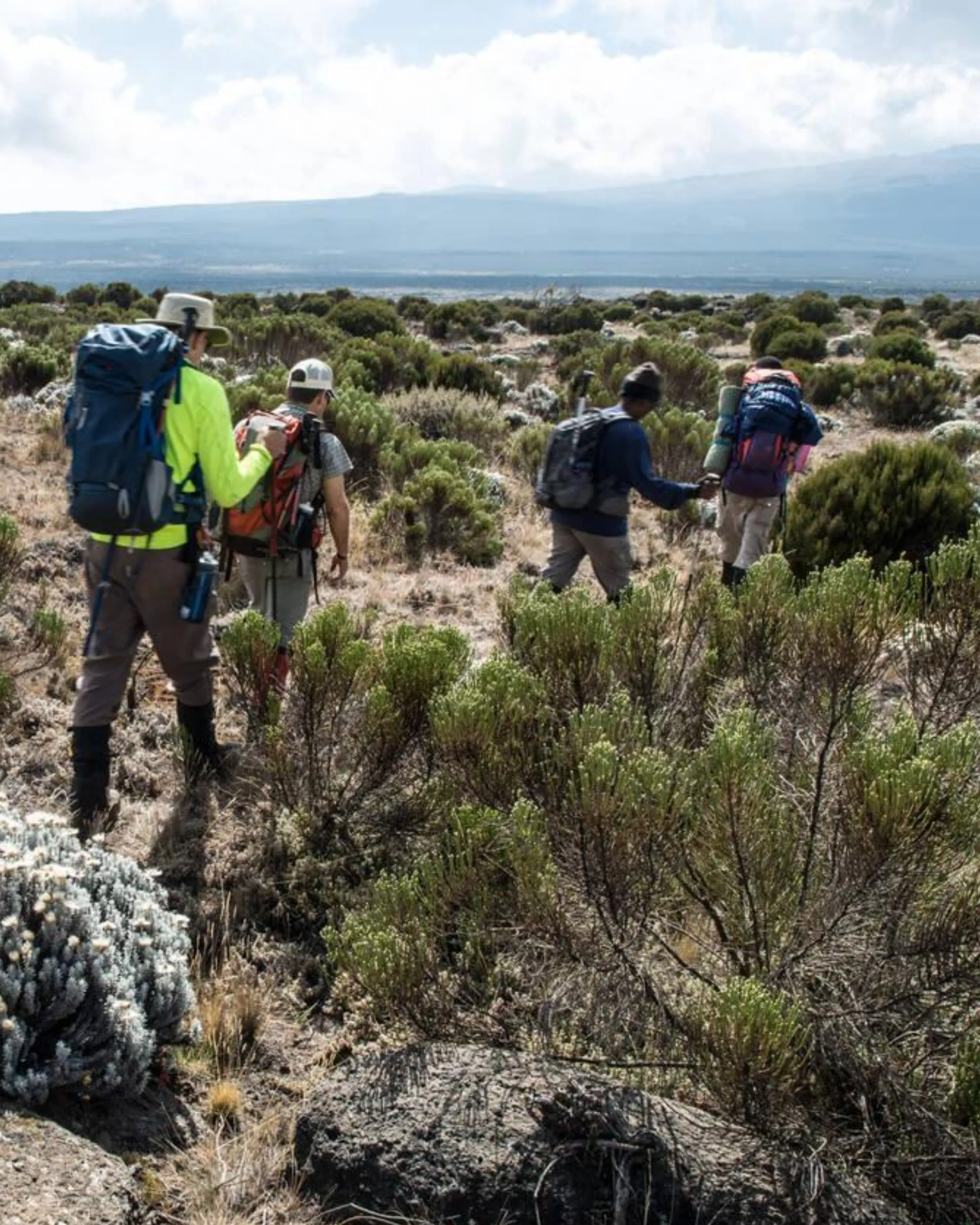 7 Days Machame Route Machame Camp