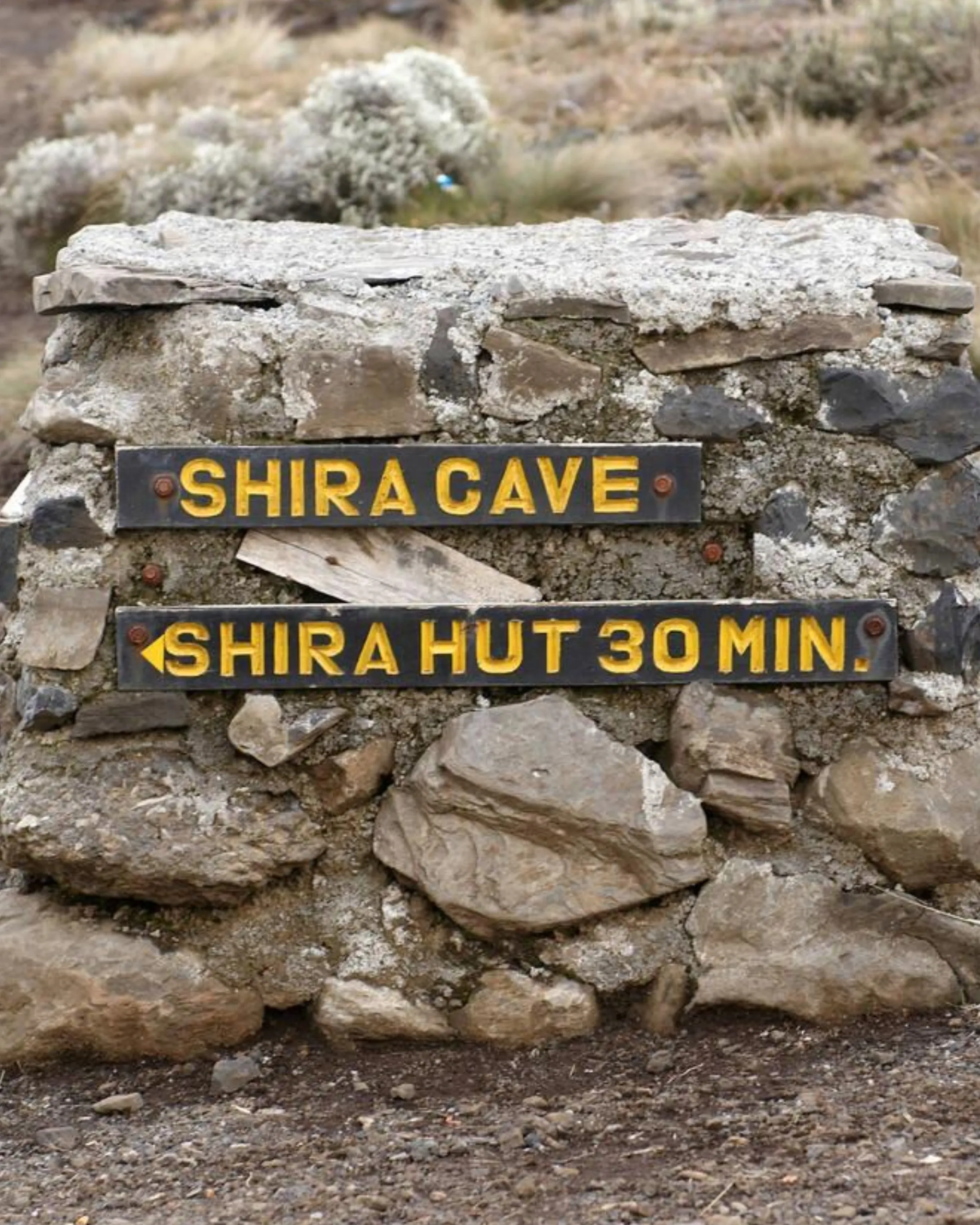7 Days Machame Route Shira Cave