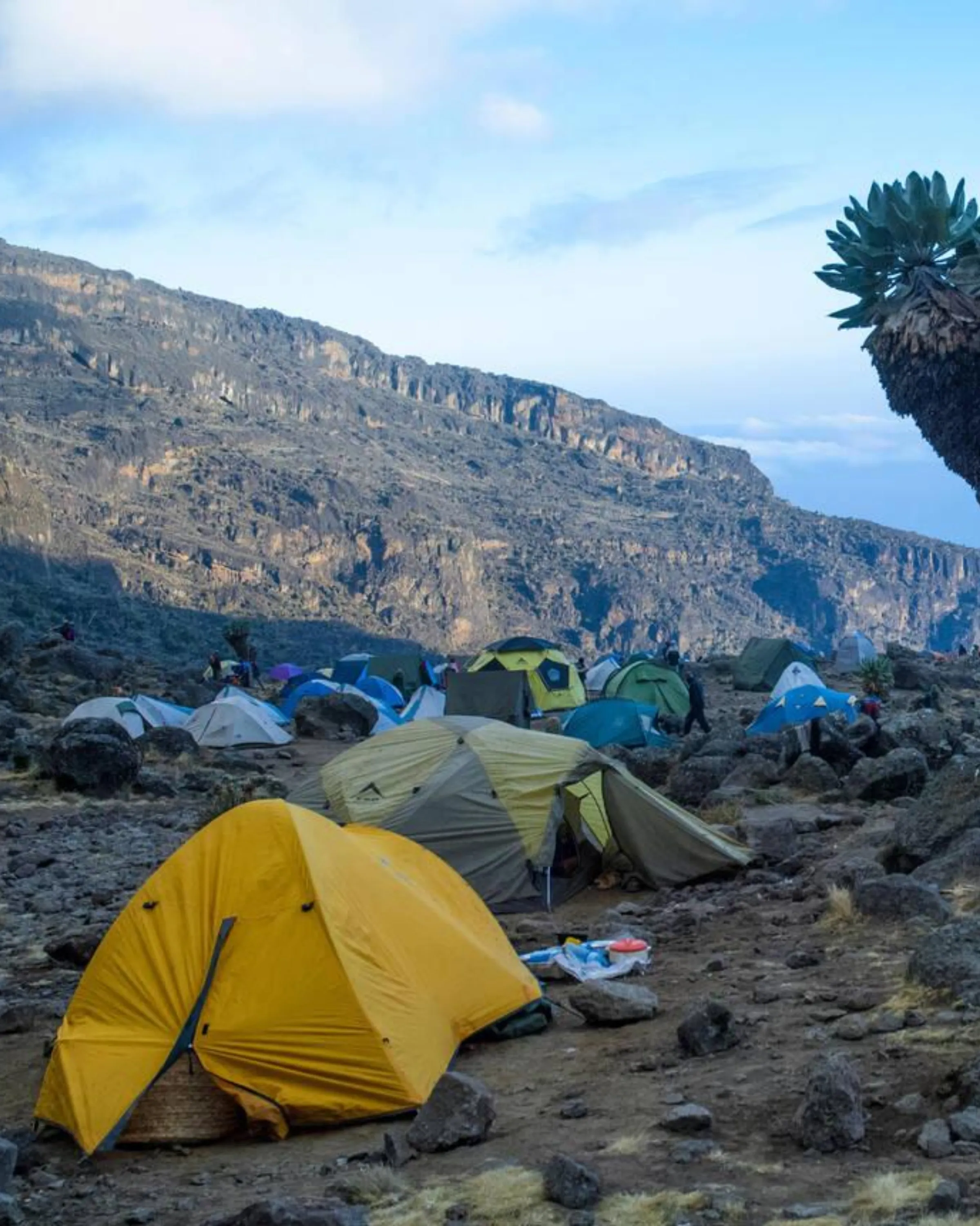 7 Days Machame Route Baranco Camp