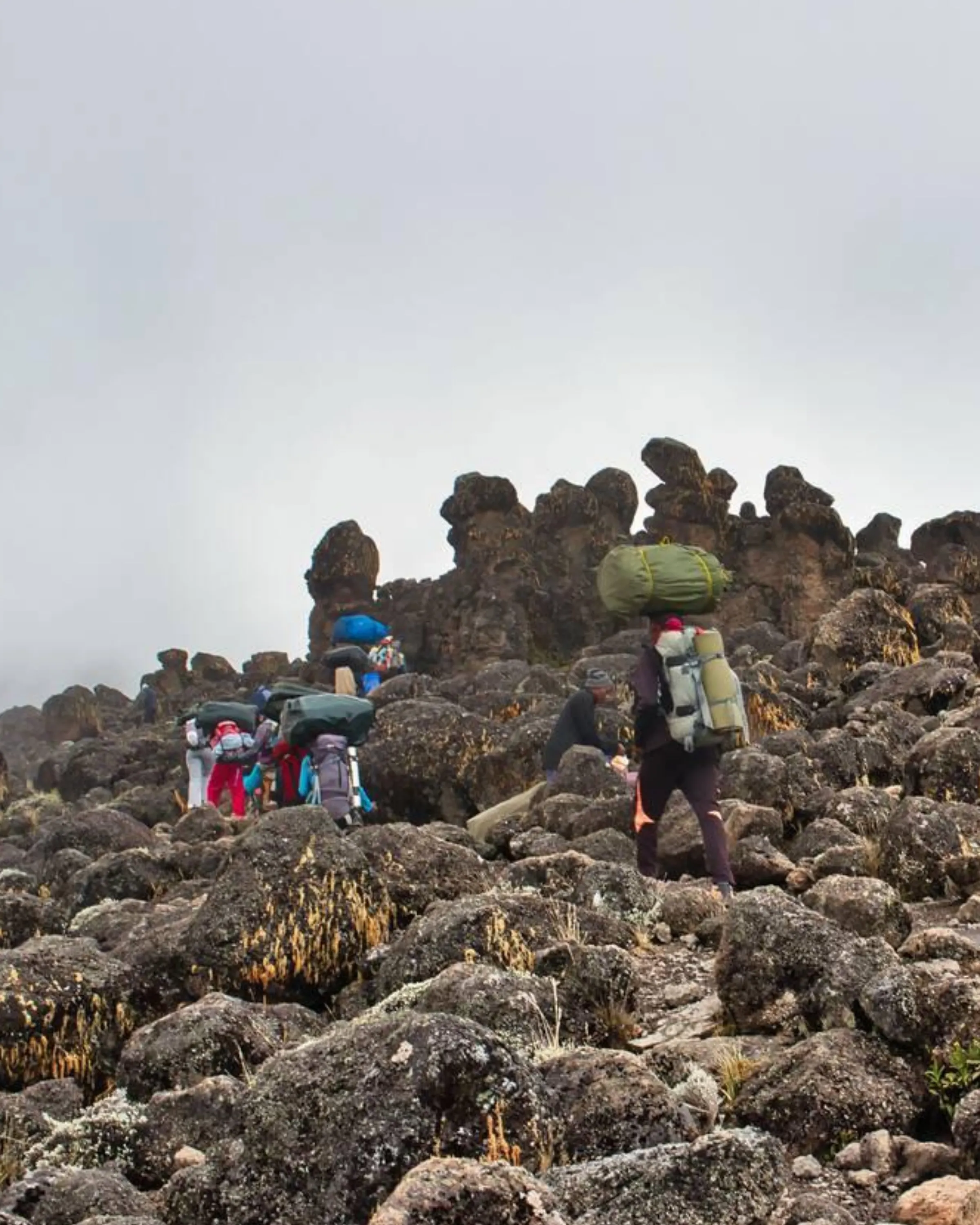 7 Days Machame Route Karanga Camp