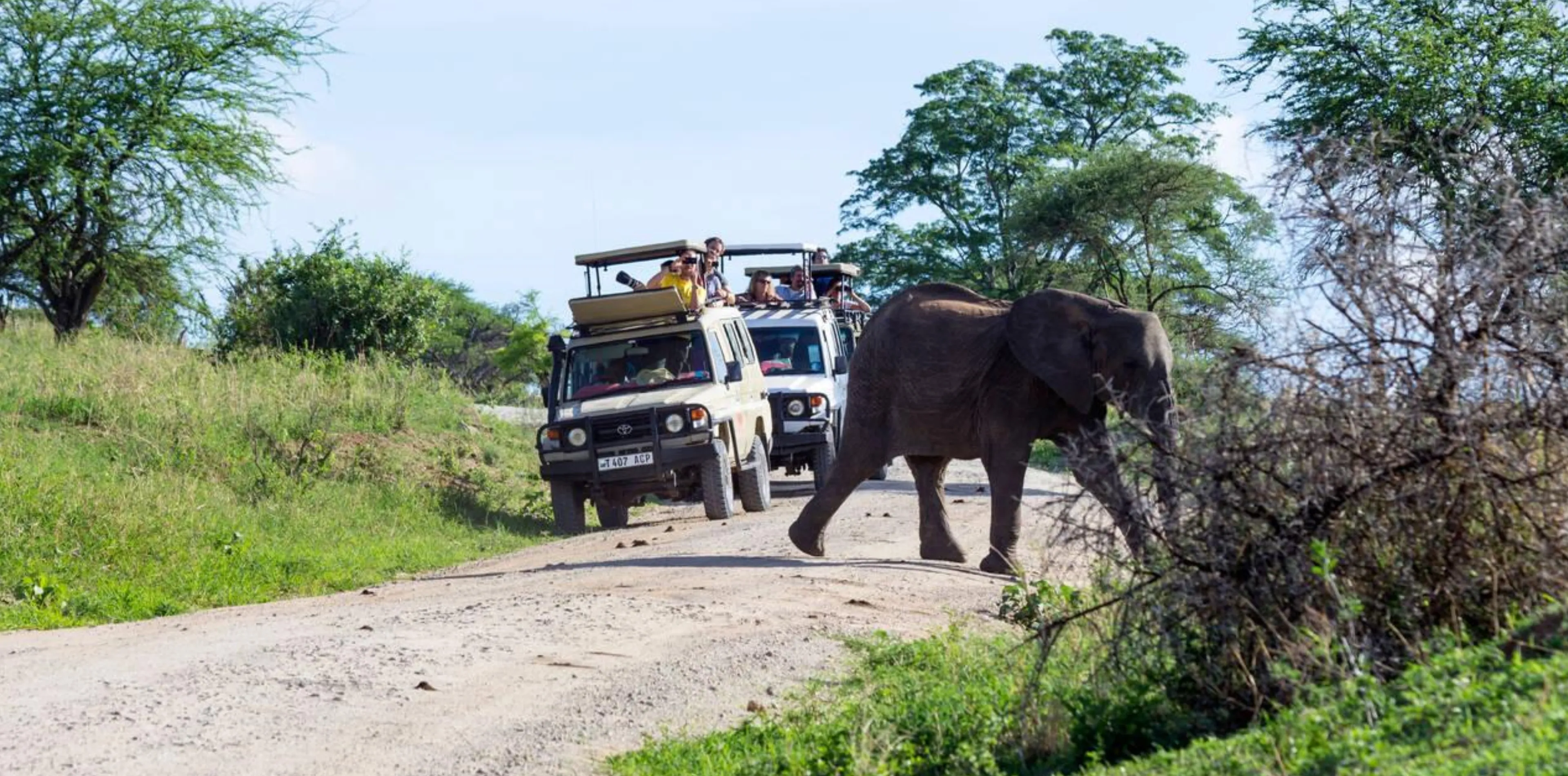 8 Days Family Safari In Tanzania Attraction