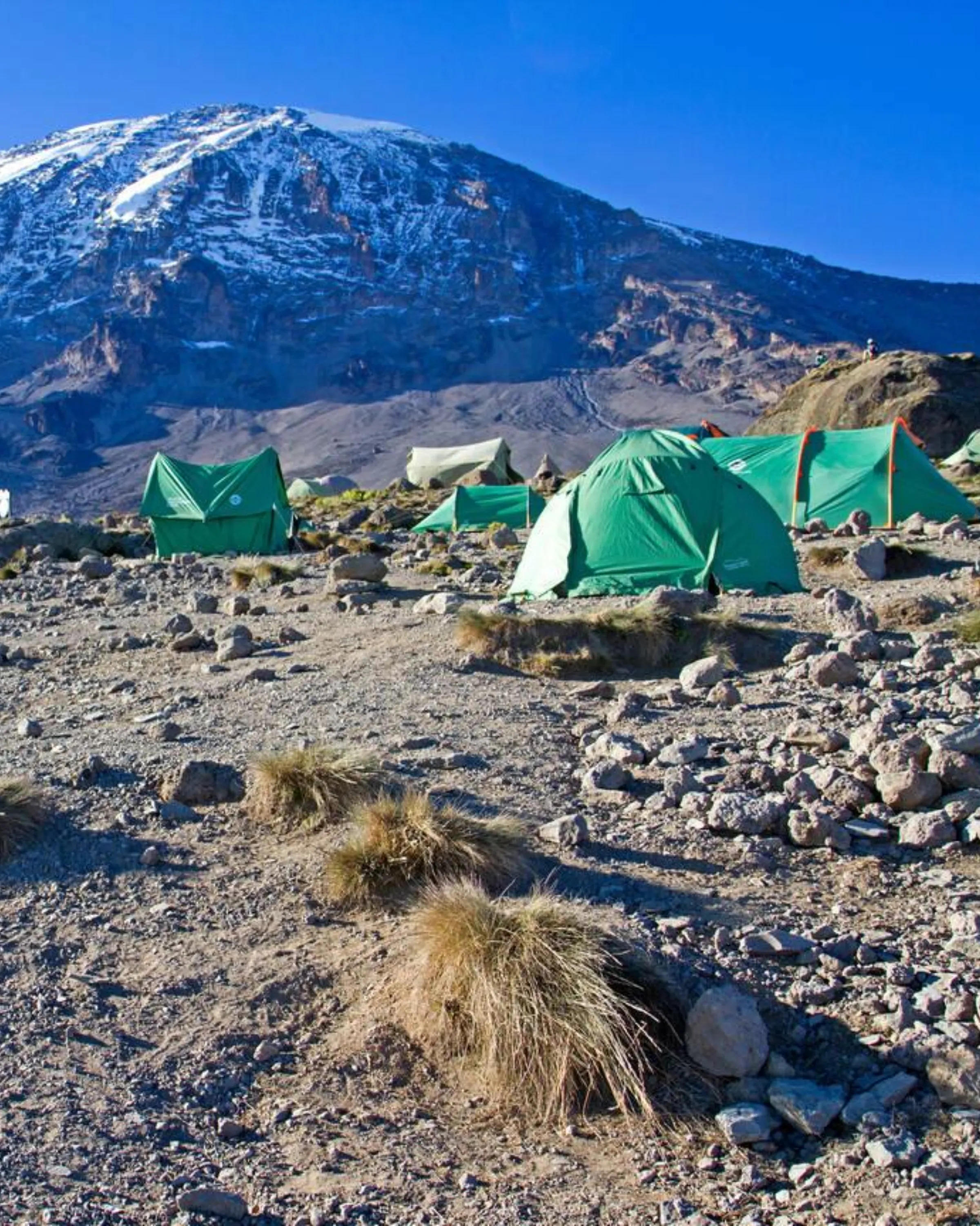 8 Days Lemosho Route Karanga Camp