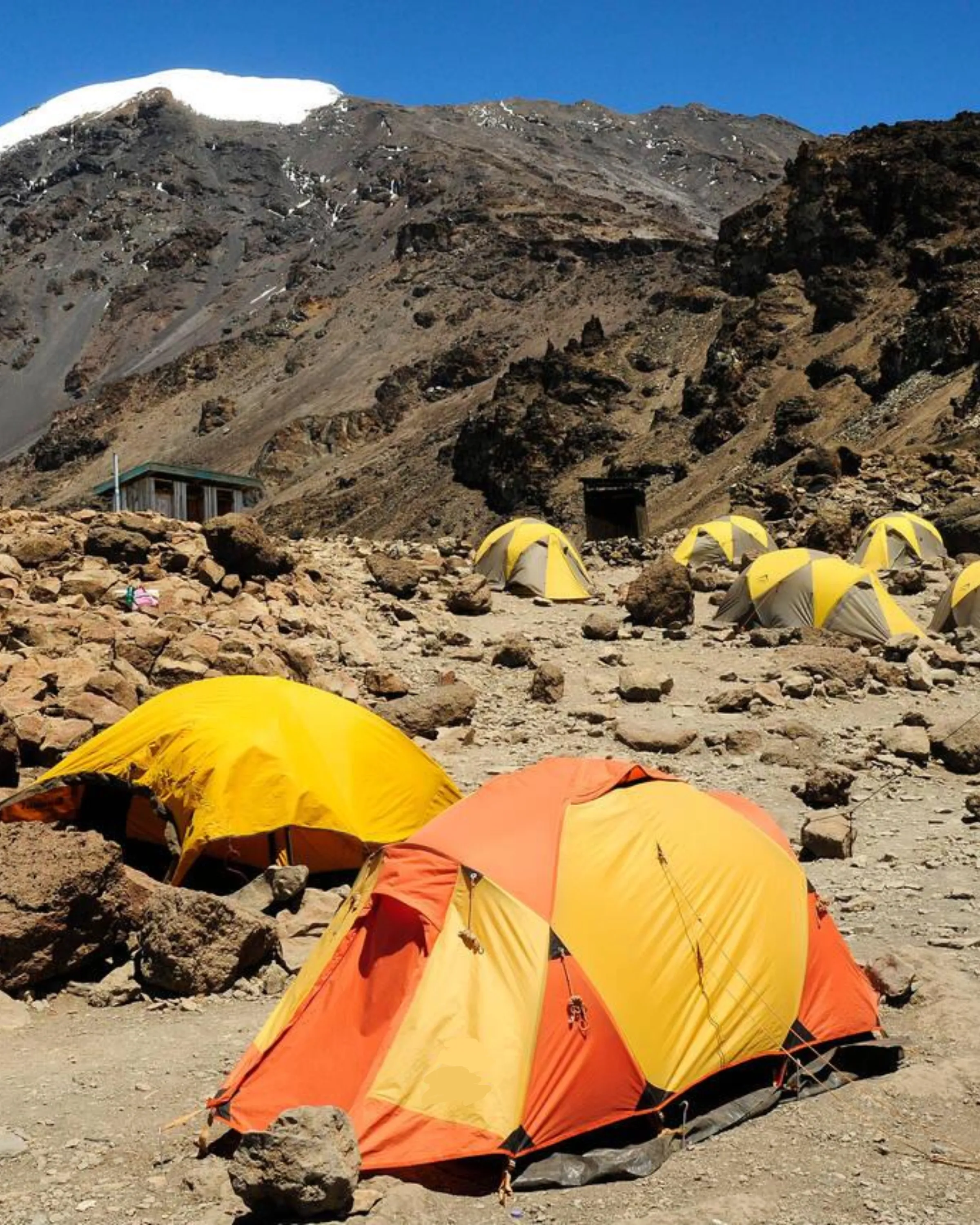 8 Days Lemosho Route Barafu Camp