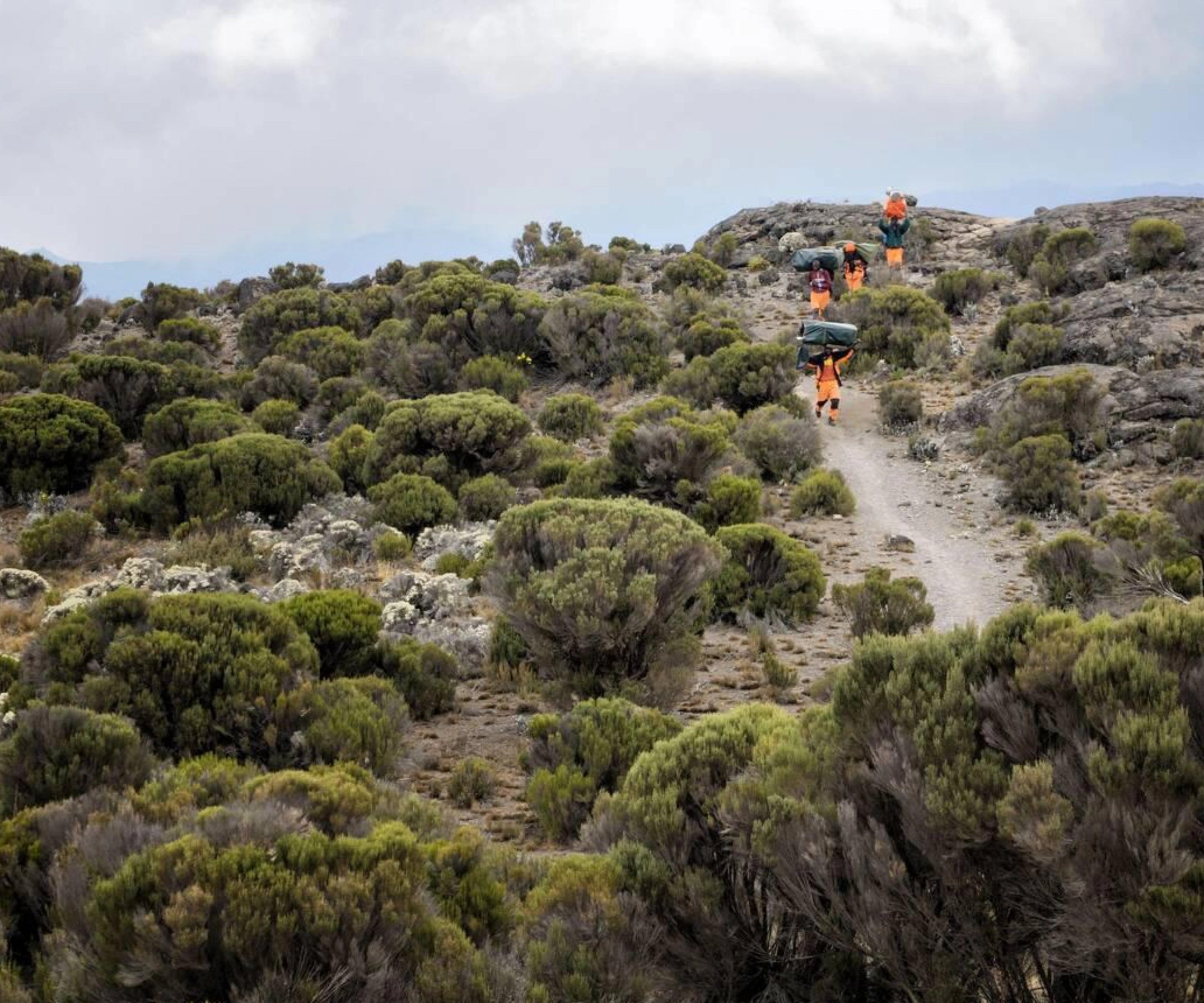 8 Days Lemosho Route Climbing
