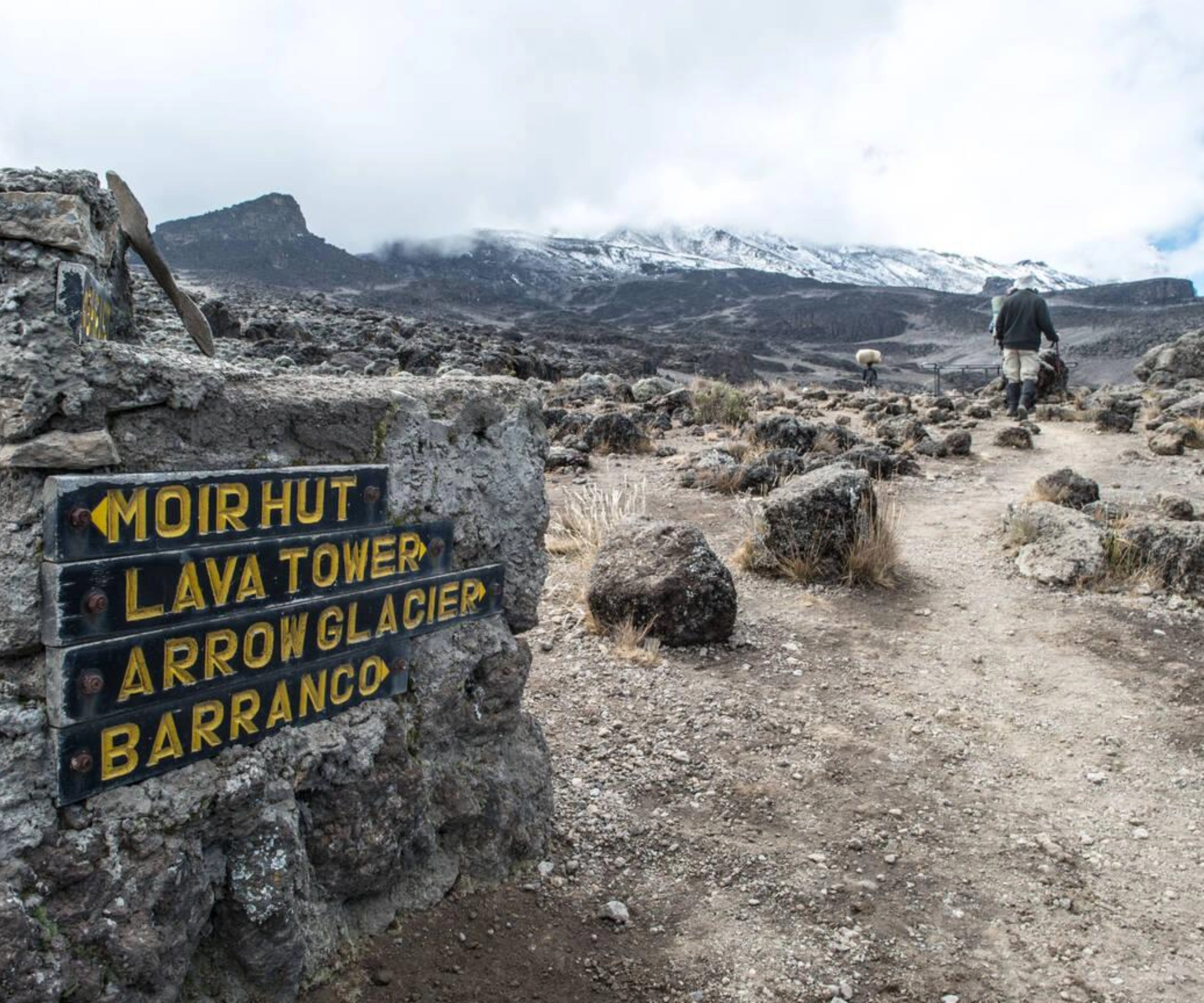 8 Days Lemosho Route Climbing