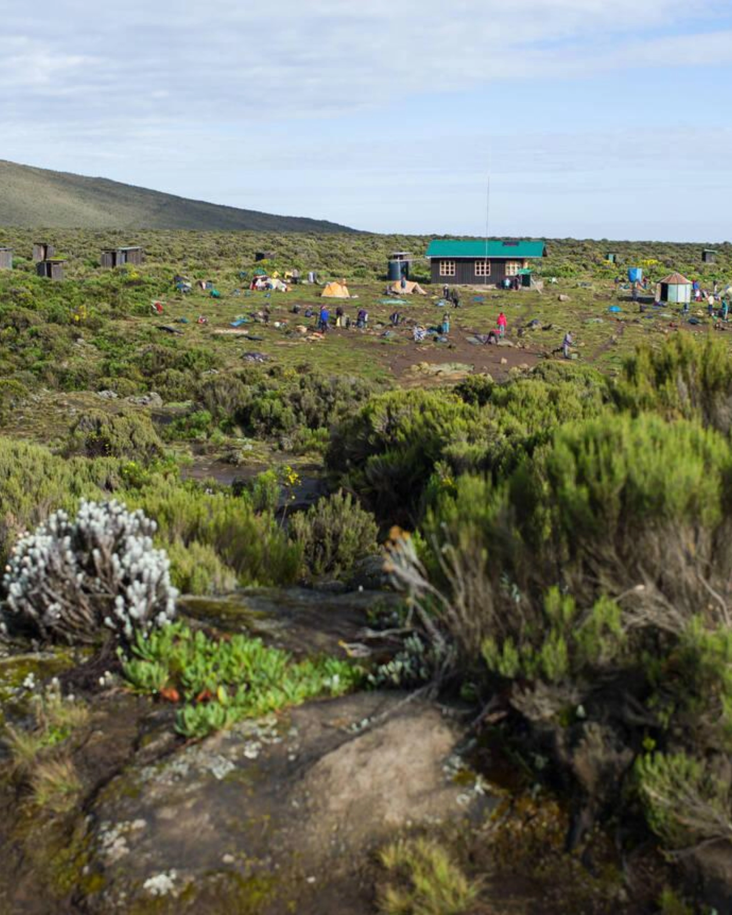 8 Days Lemosho Route Shira 1 Camp