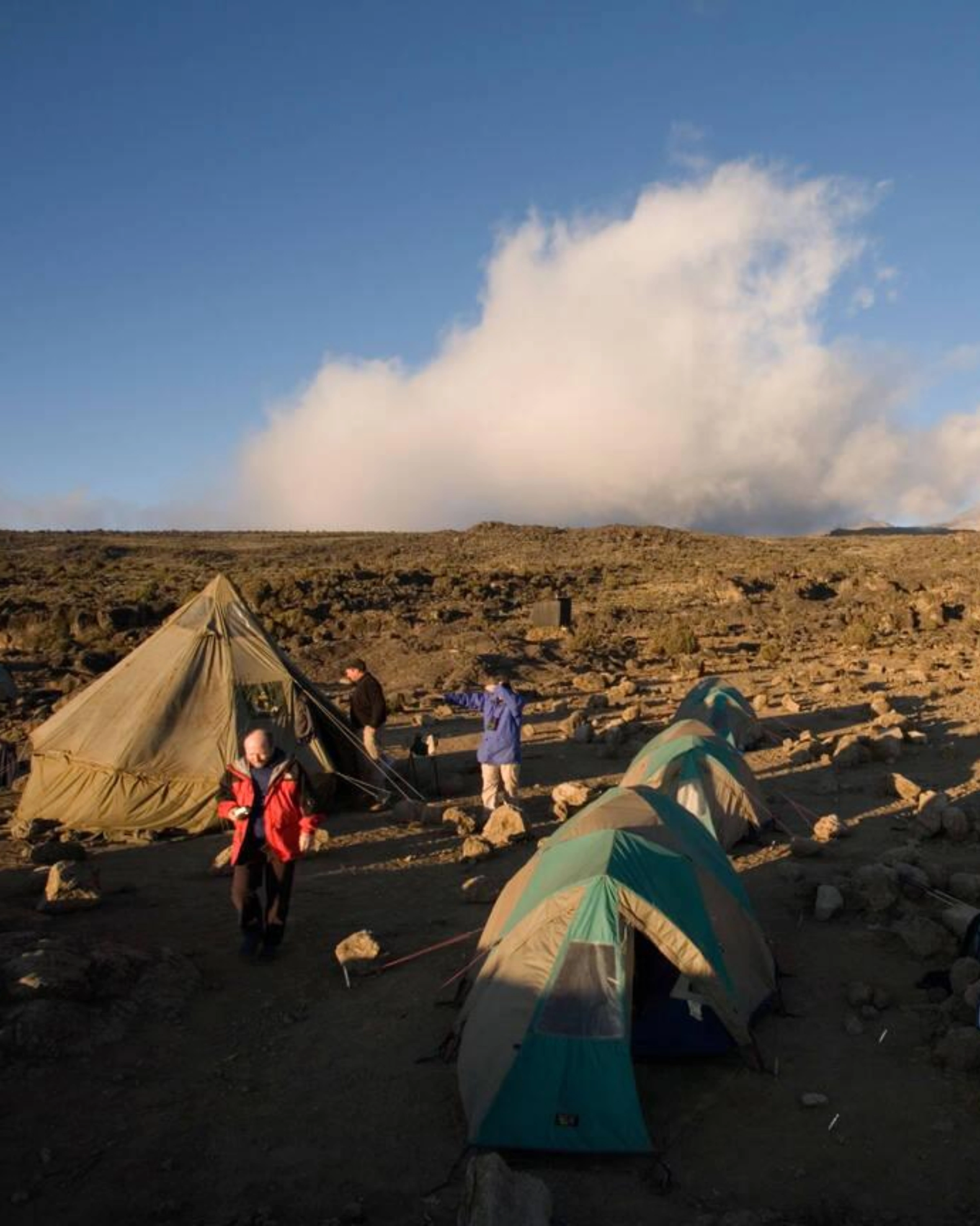 8 Days Lemosho Route Shira 2 Camp