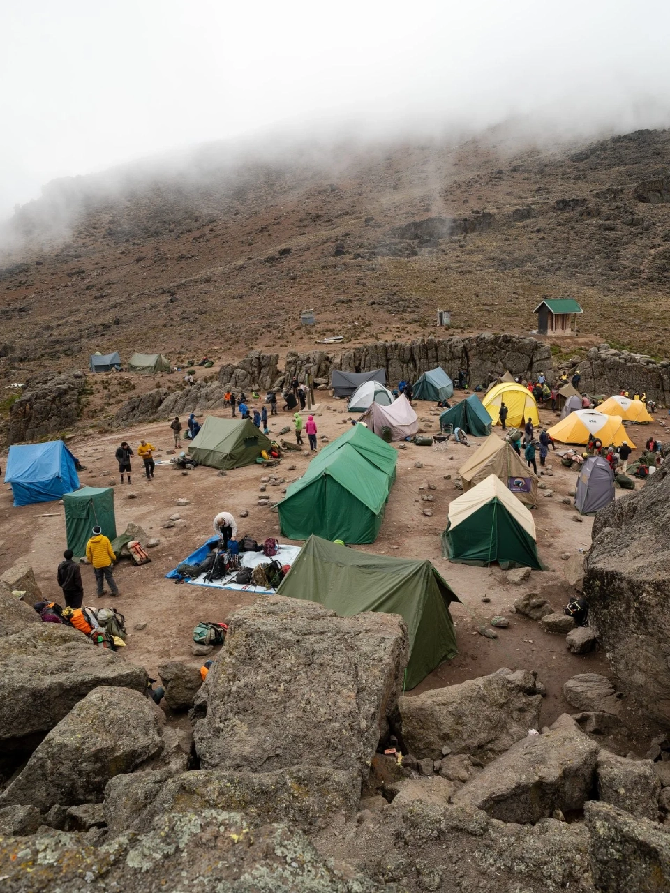8 Days Lemosho Route