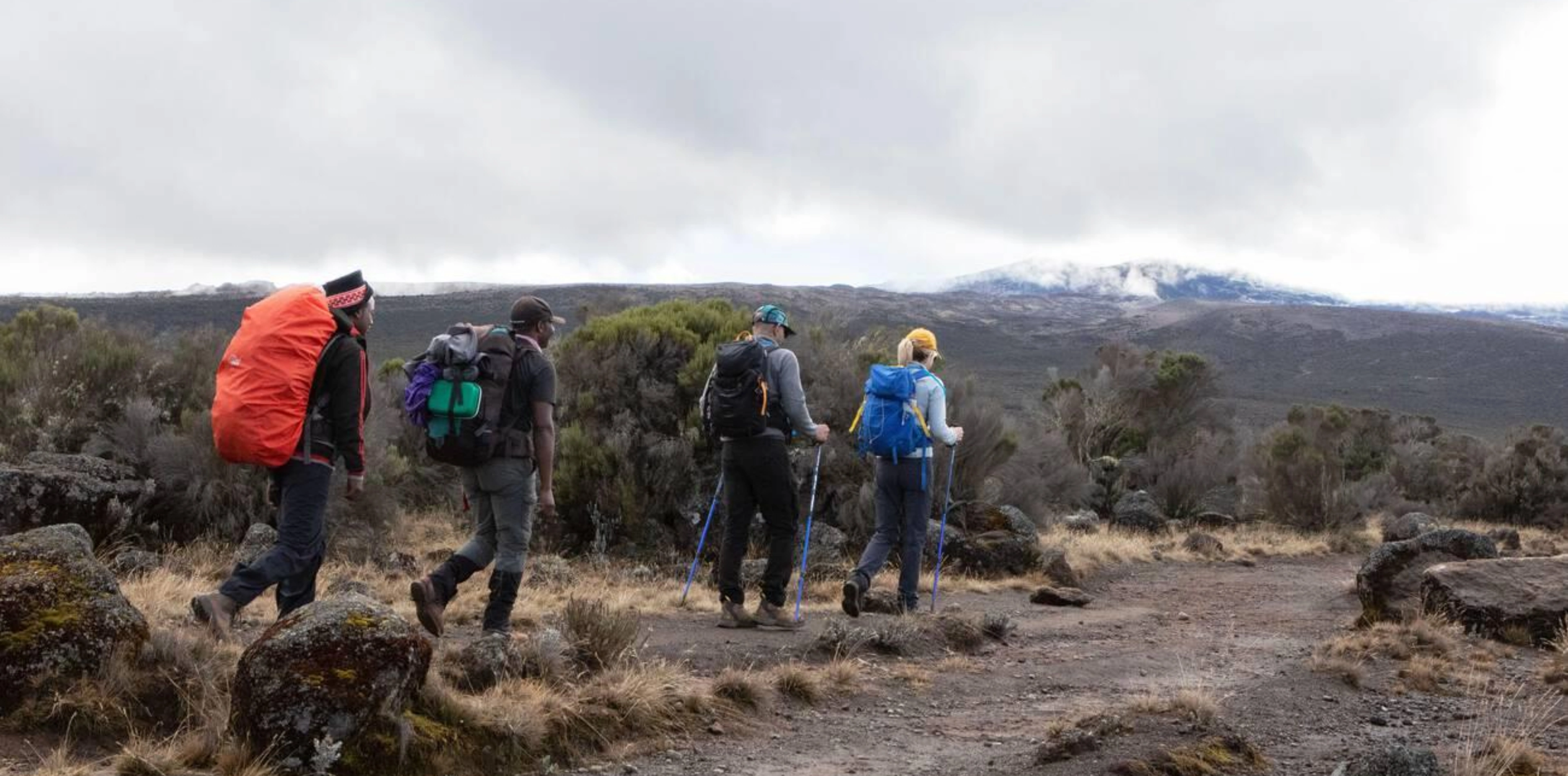 8 Days Lemosho Route Attractions