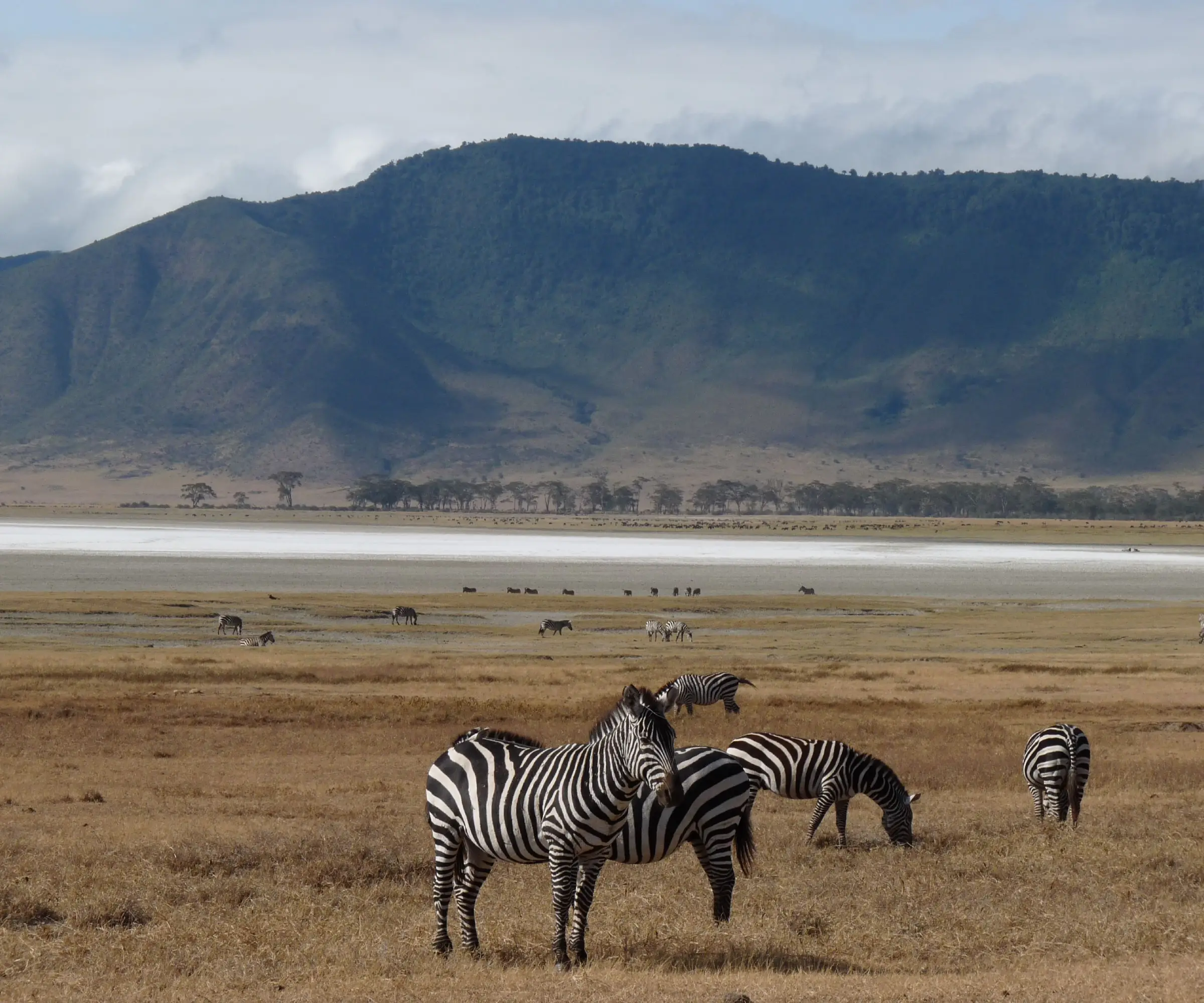 9 Days Photography Safari In Tanzania Wildlife