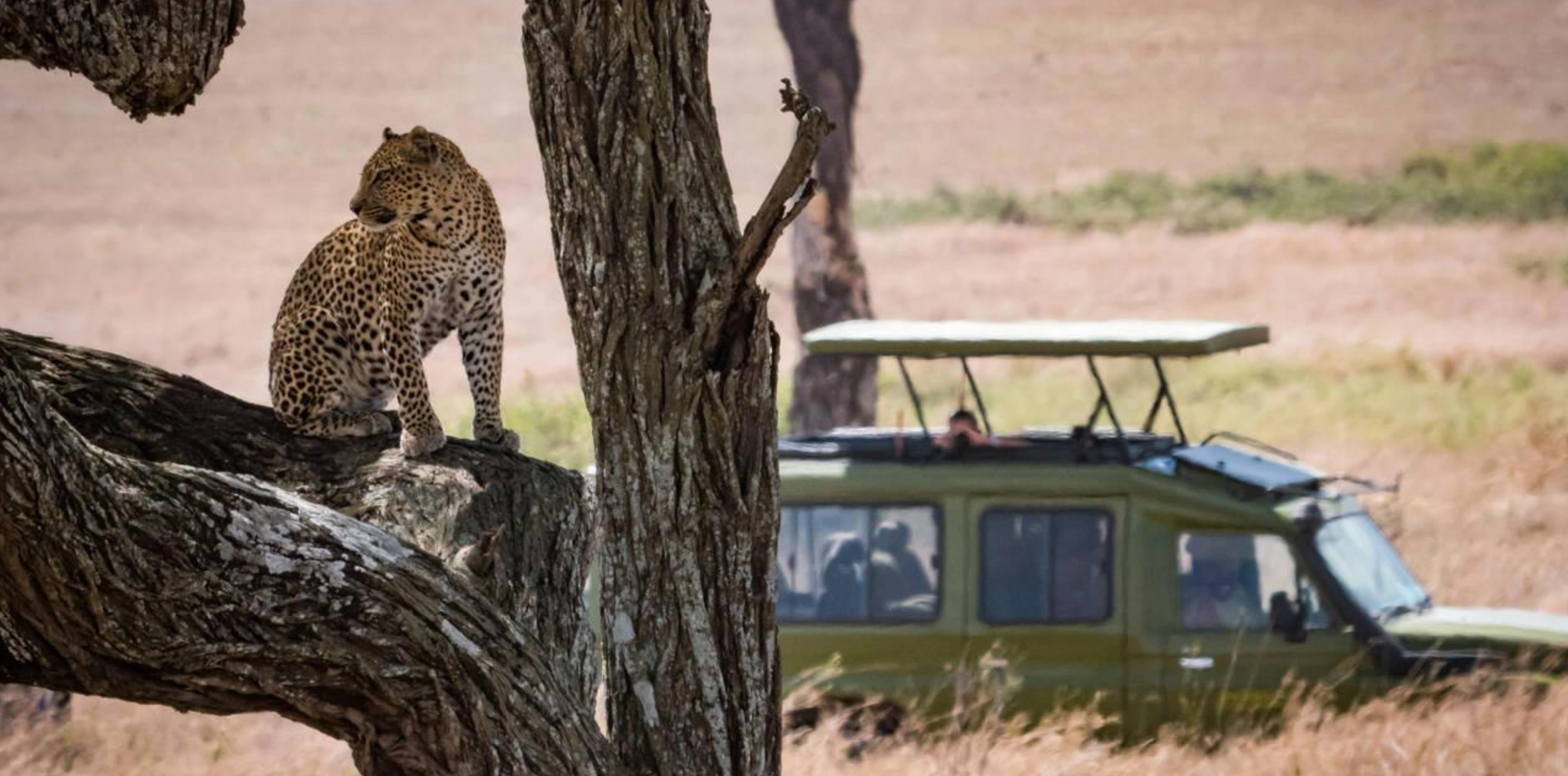 9 Days Photography Safari In Tanzania Attraction