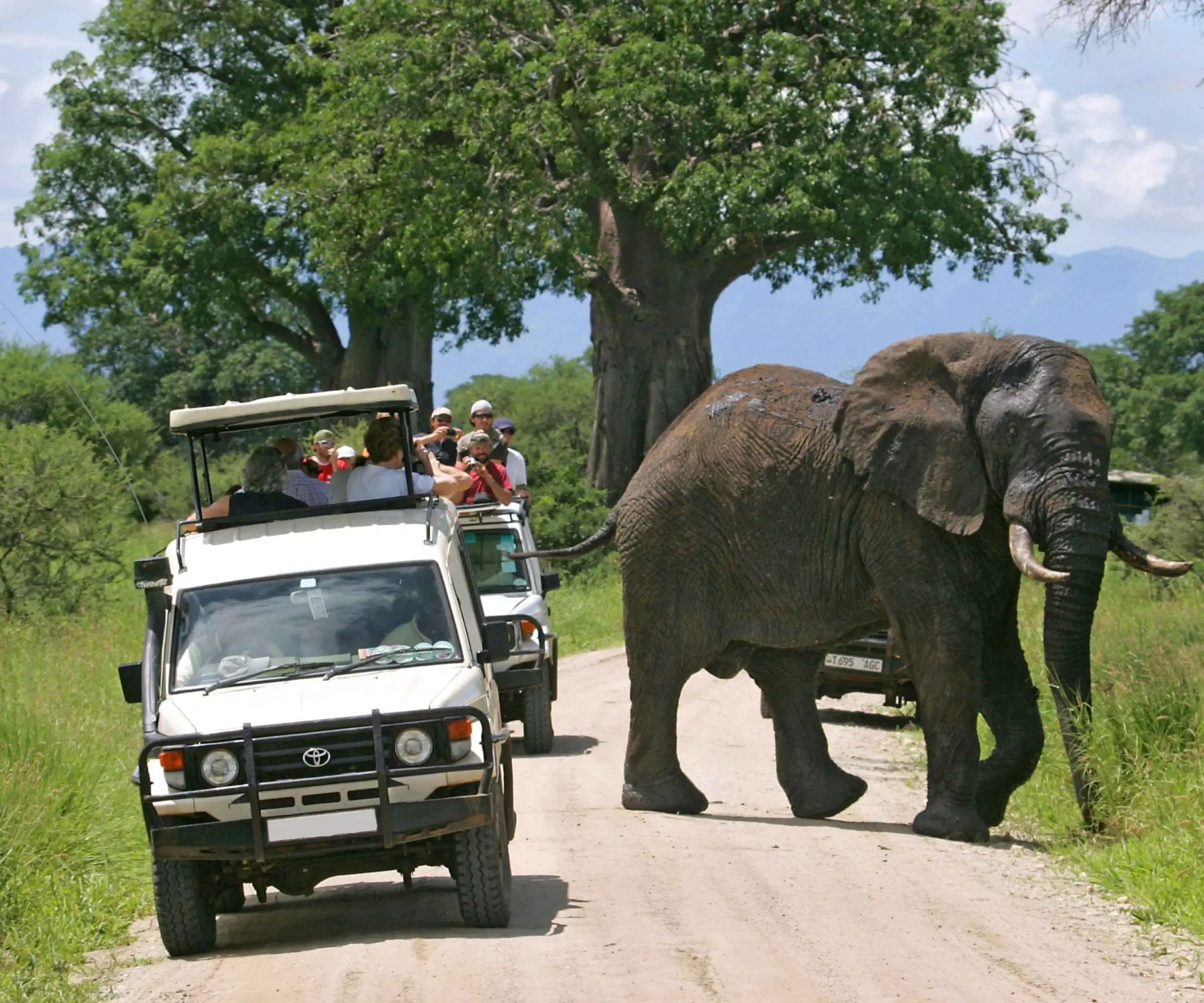 Arusha National Park Our Impact