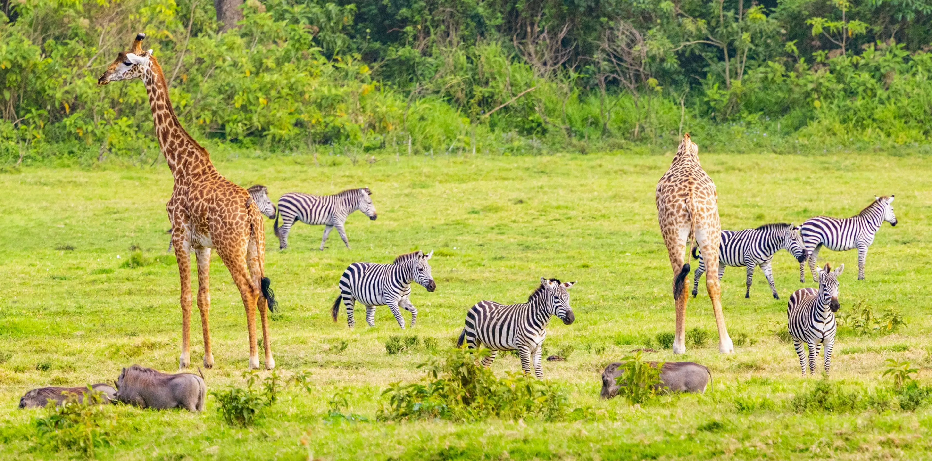 Arusha National Park