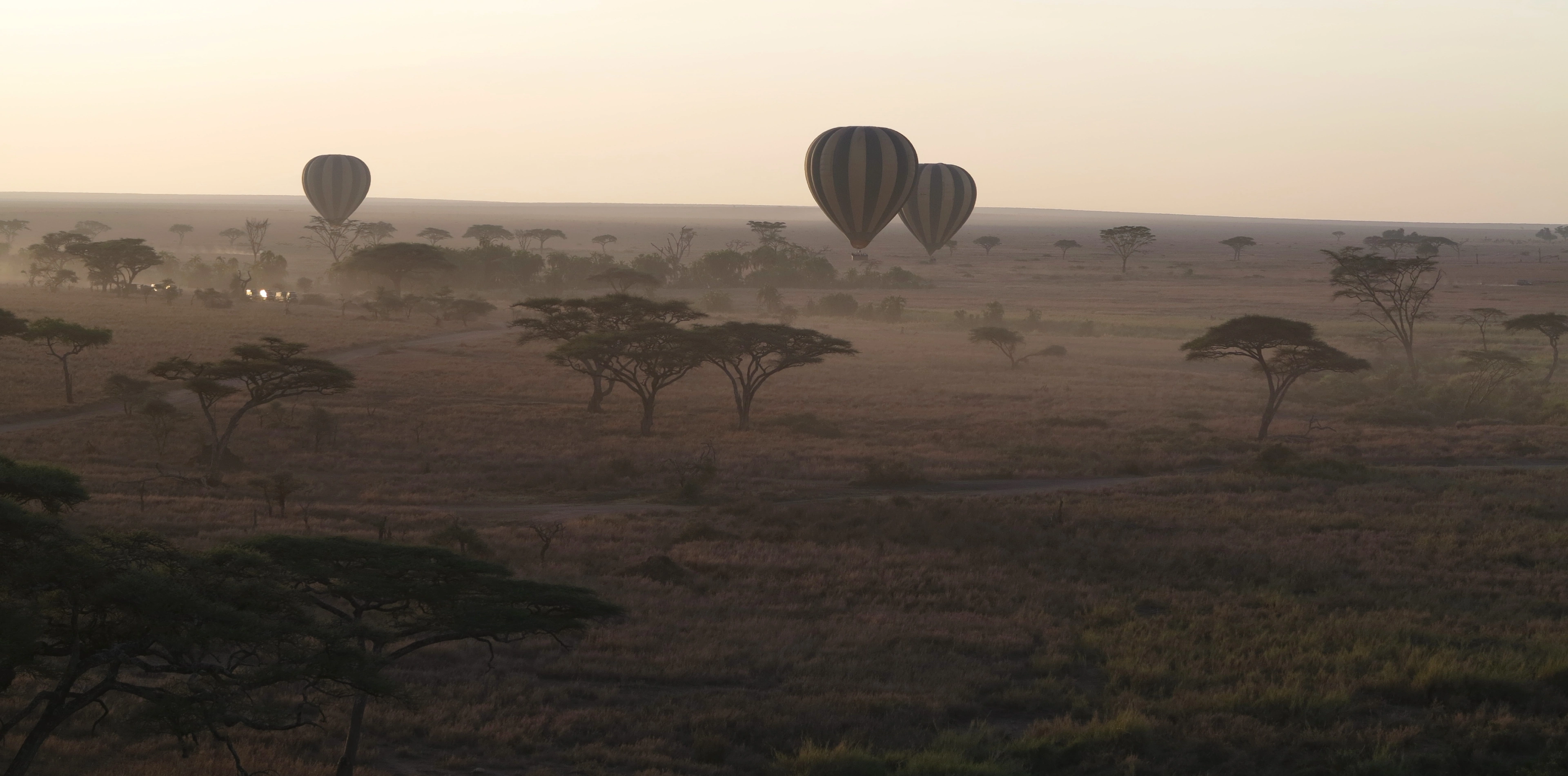 Hot Air Balloon Safari