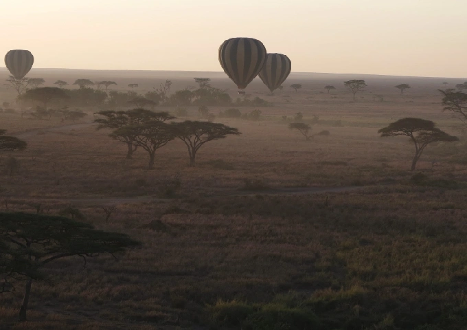 Hot Air Balloon Safari