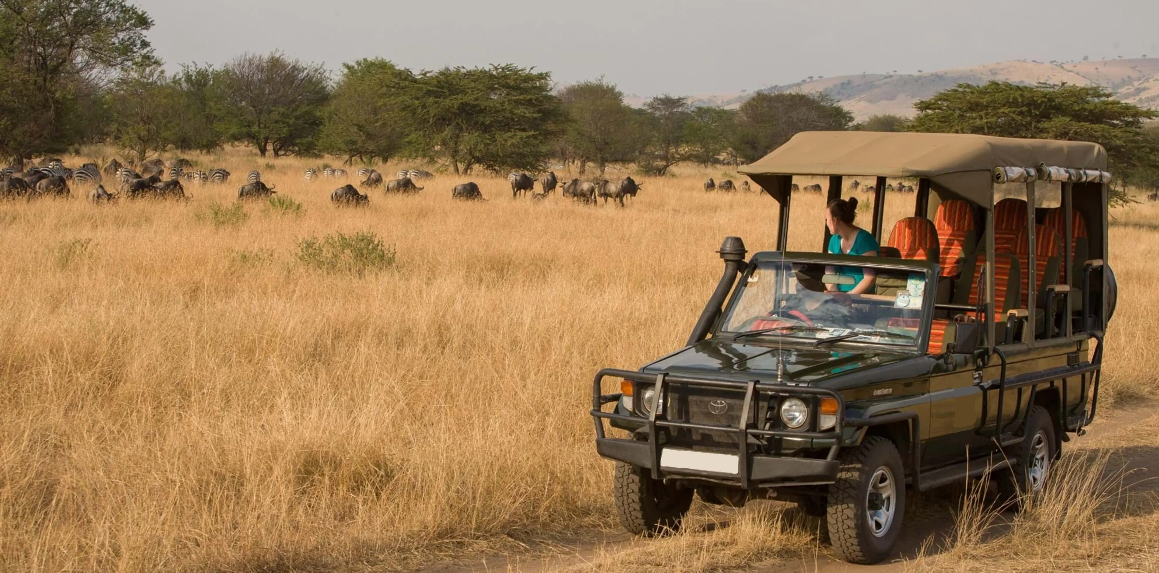 Is It Travel To Safe Tanzania