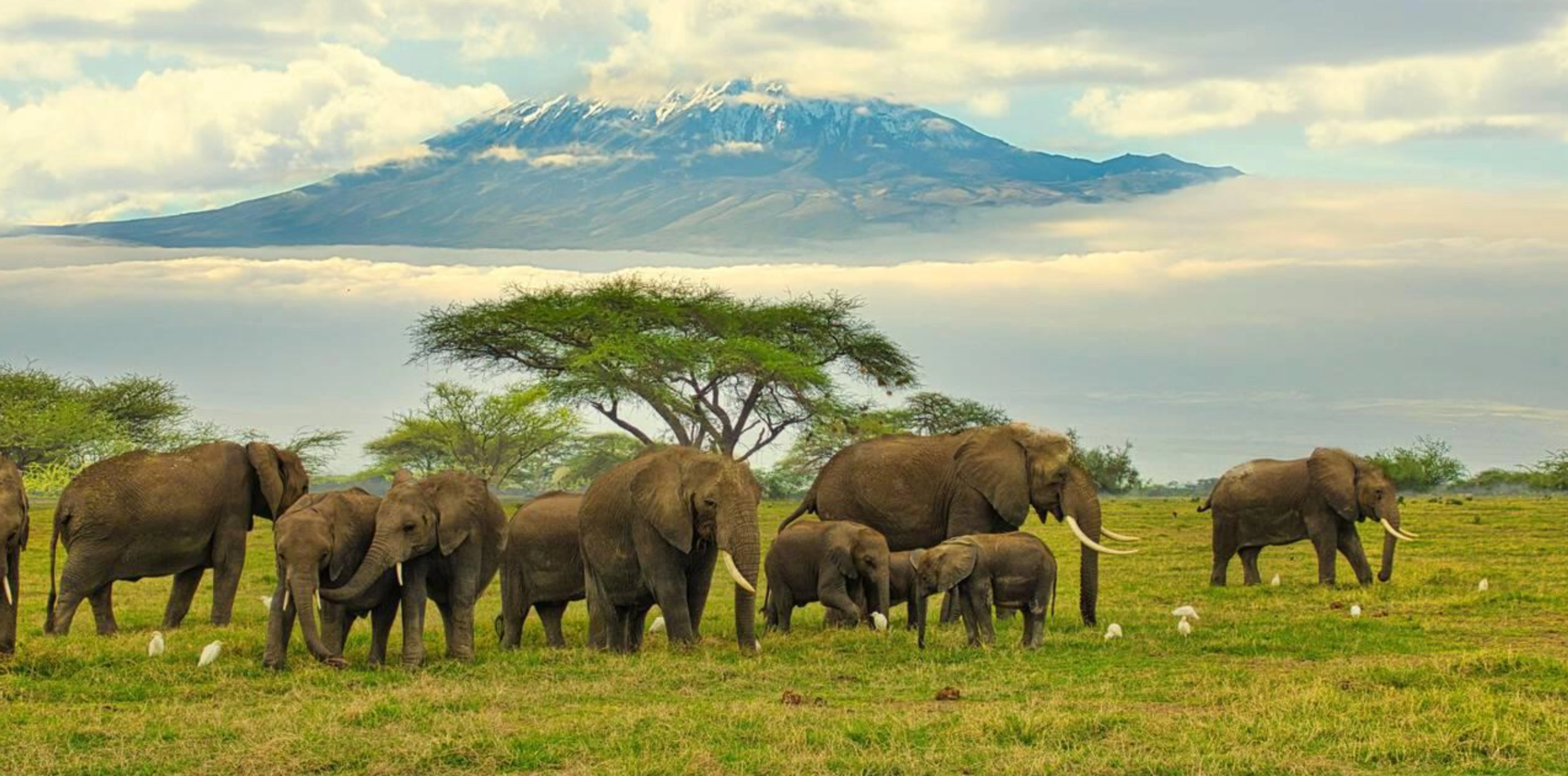 Kilimanjaro National Park Attractions