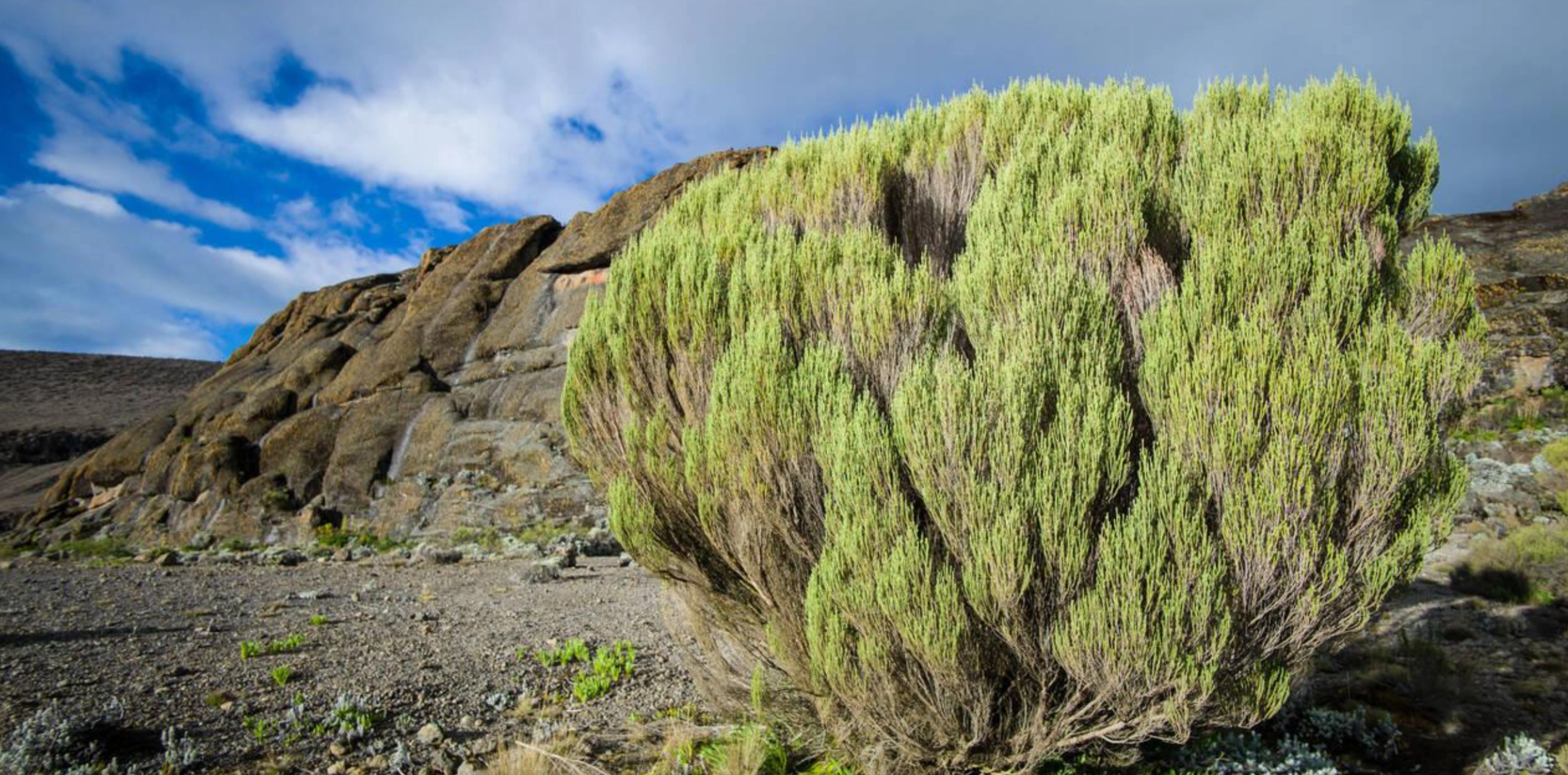 Kilimanjaro National Park Attractions