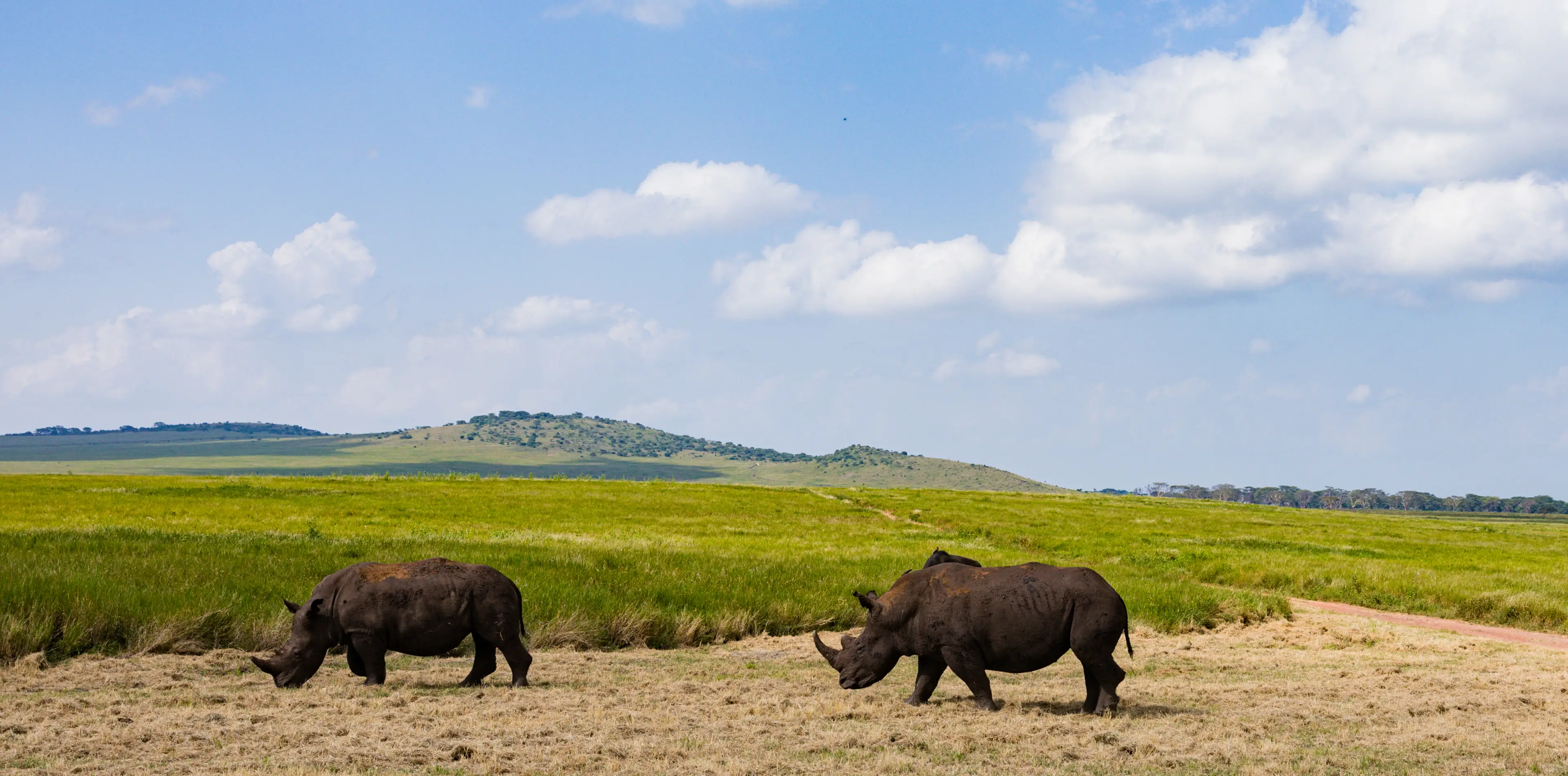 8 Days Family Safari In Tanzania