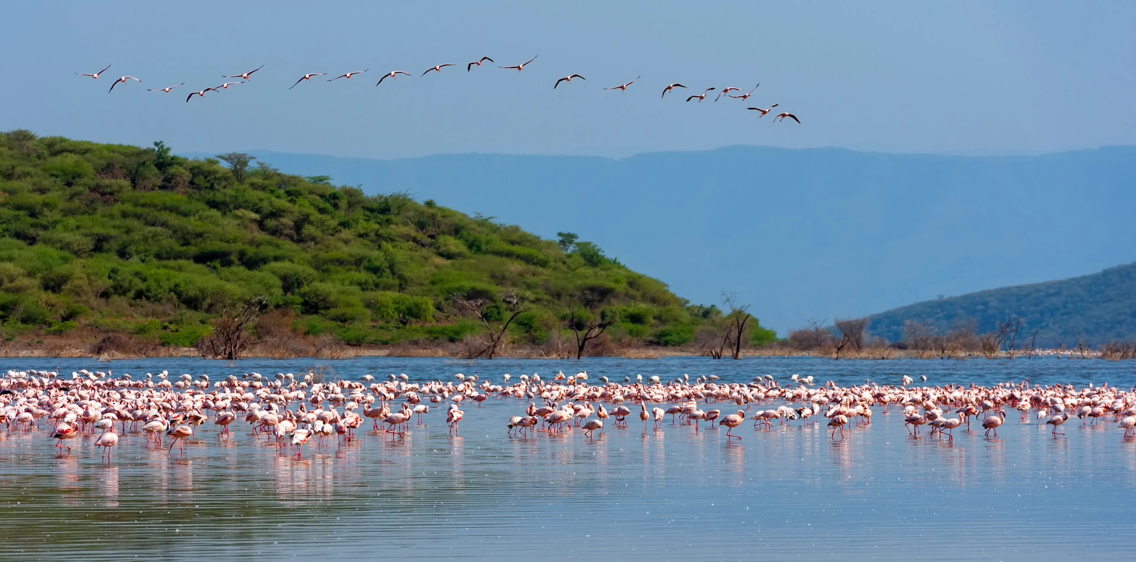 Lake Manyara National Park Attractions