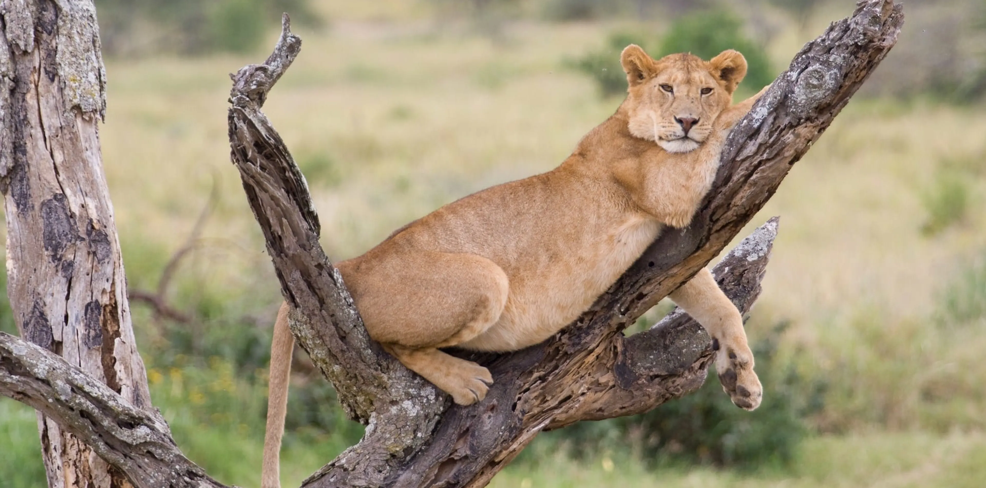 Lake Manyara National Park Attractions