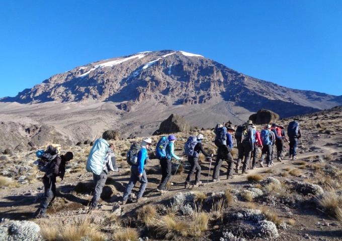 8 Days Lemosho Route