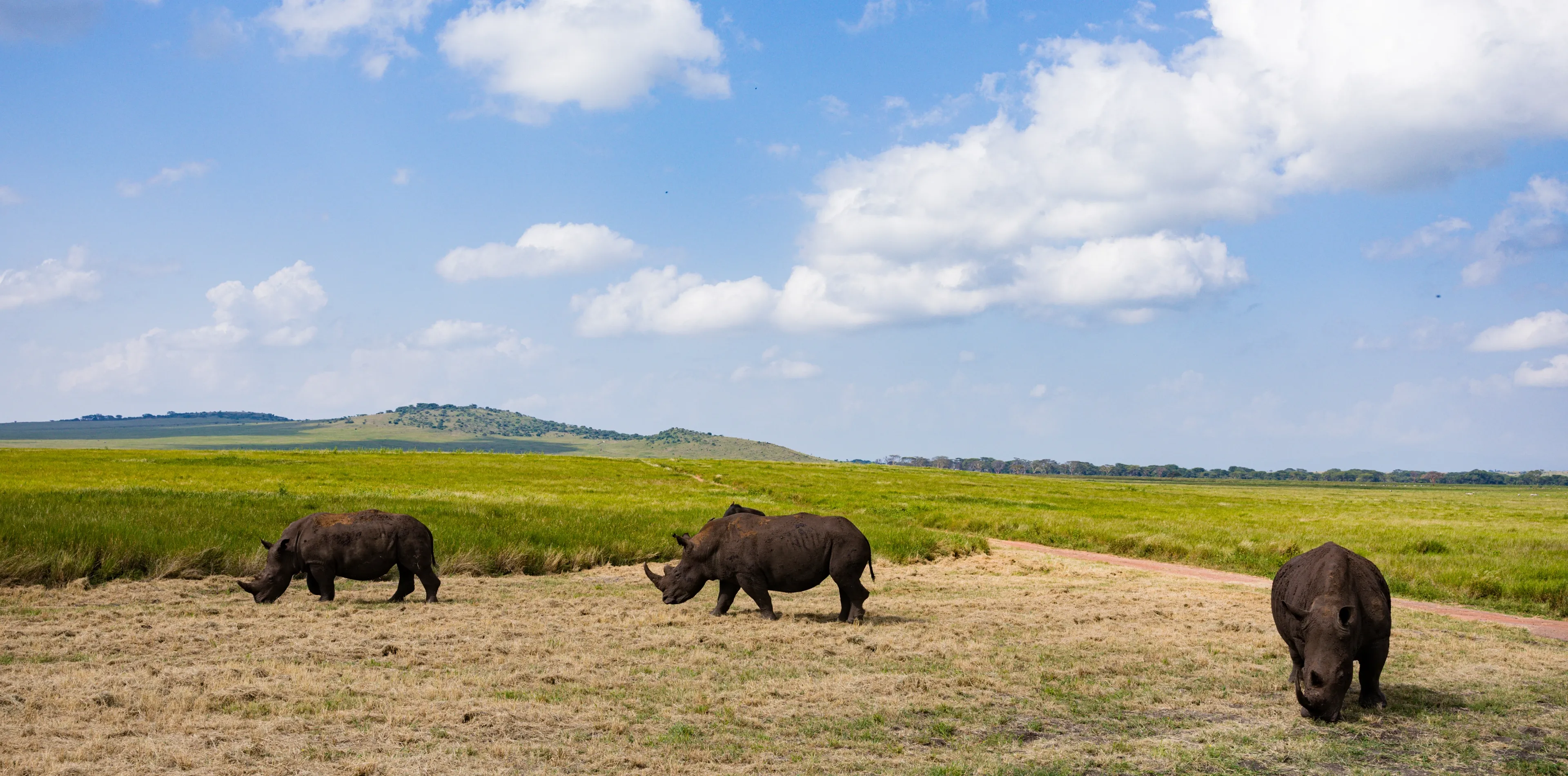 Ngorongoro Crater Attractions Ngorongoro Crater Attractions