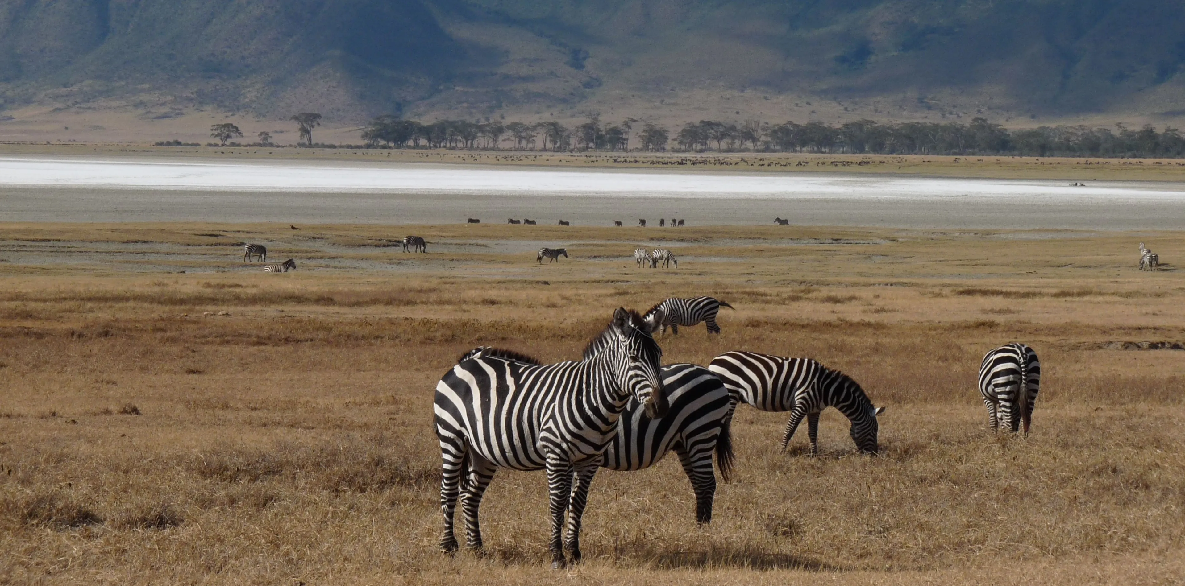 Ngorongoro Crater Attractions