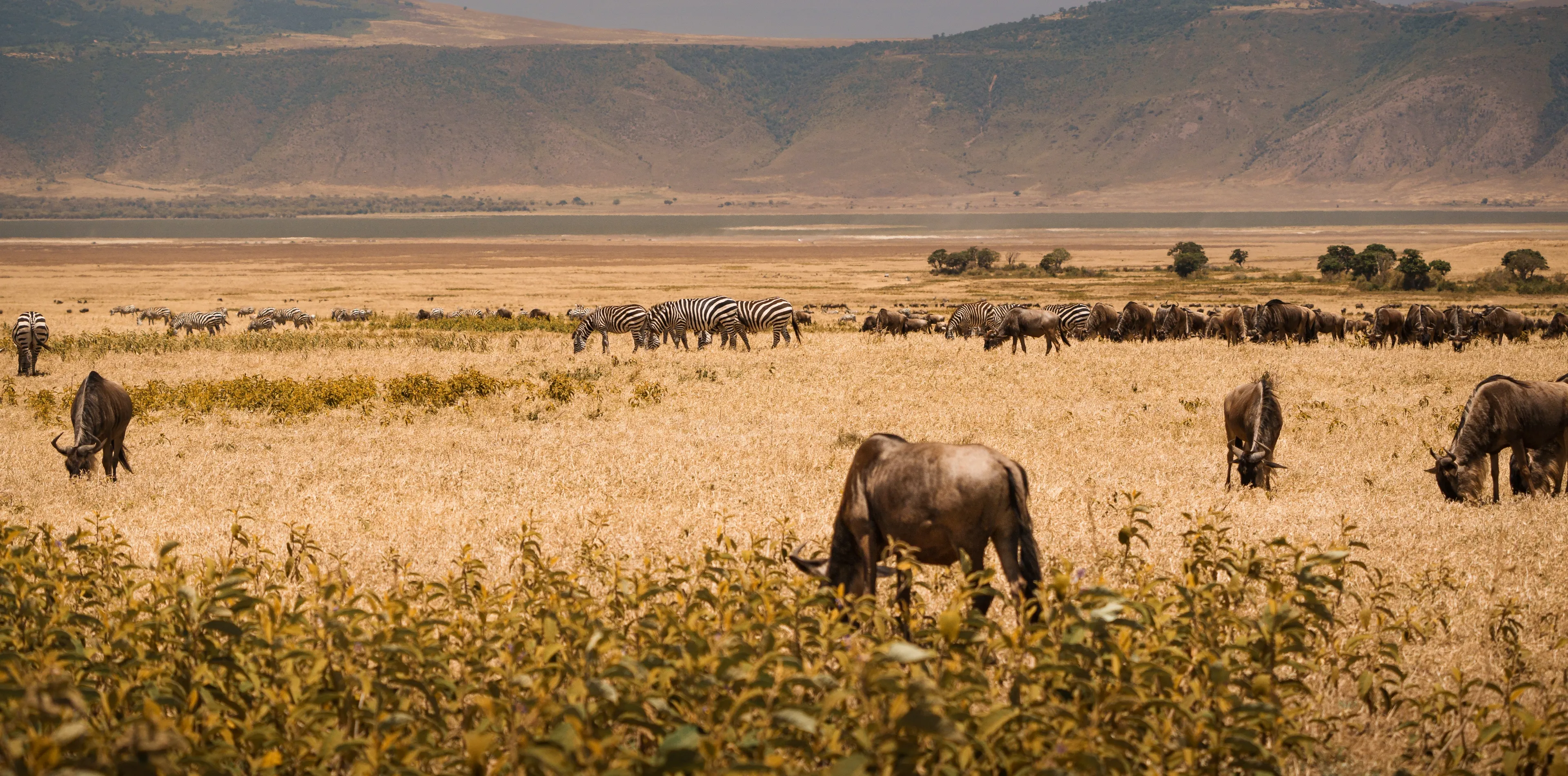 Ngorongoro Crater Attractions