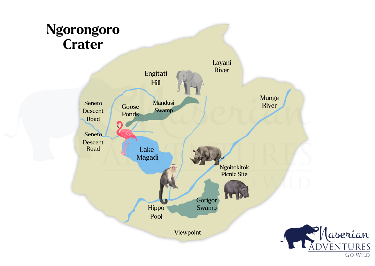 Ngorongoro Crater Map