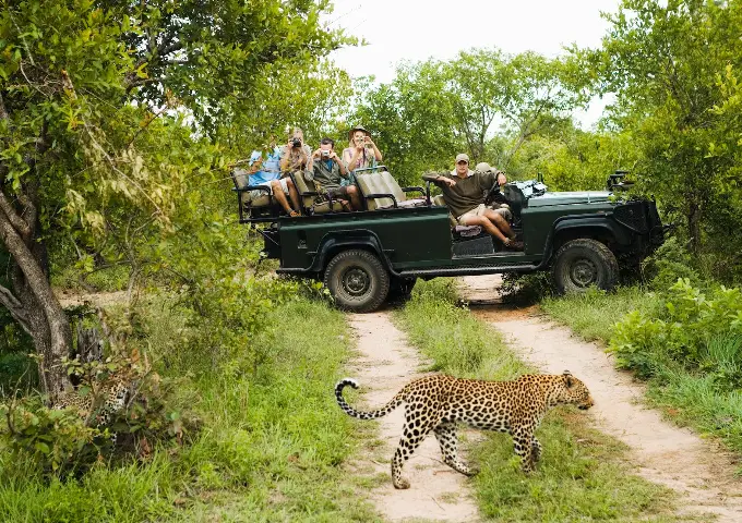 ame Drive Safari