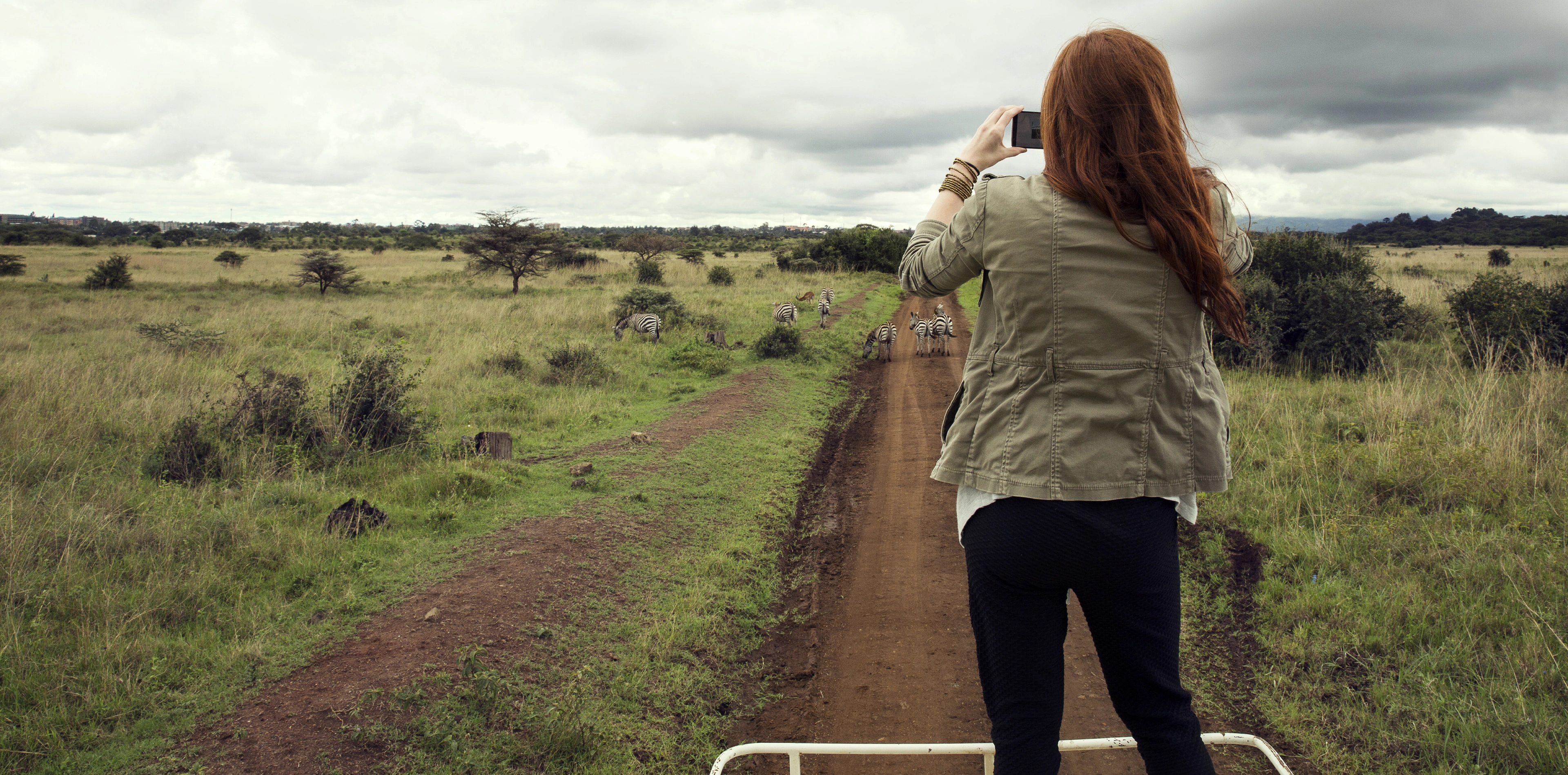 Photography Safari