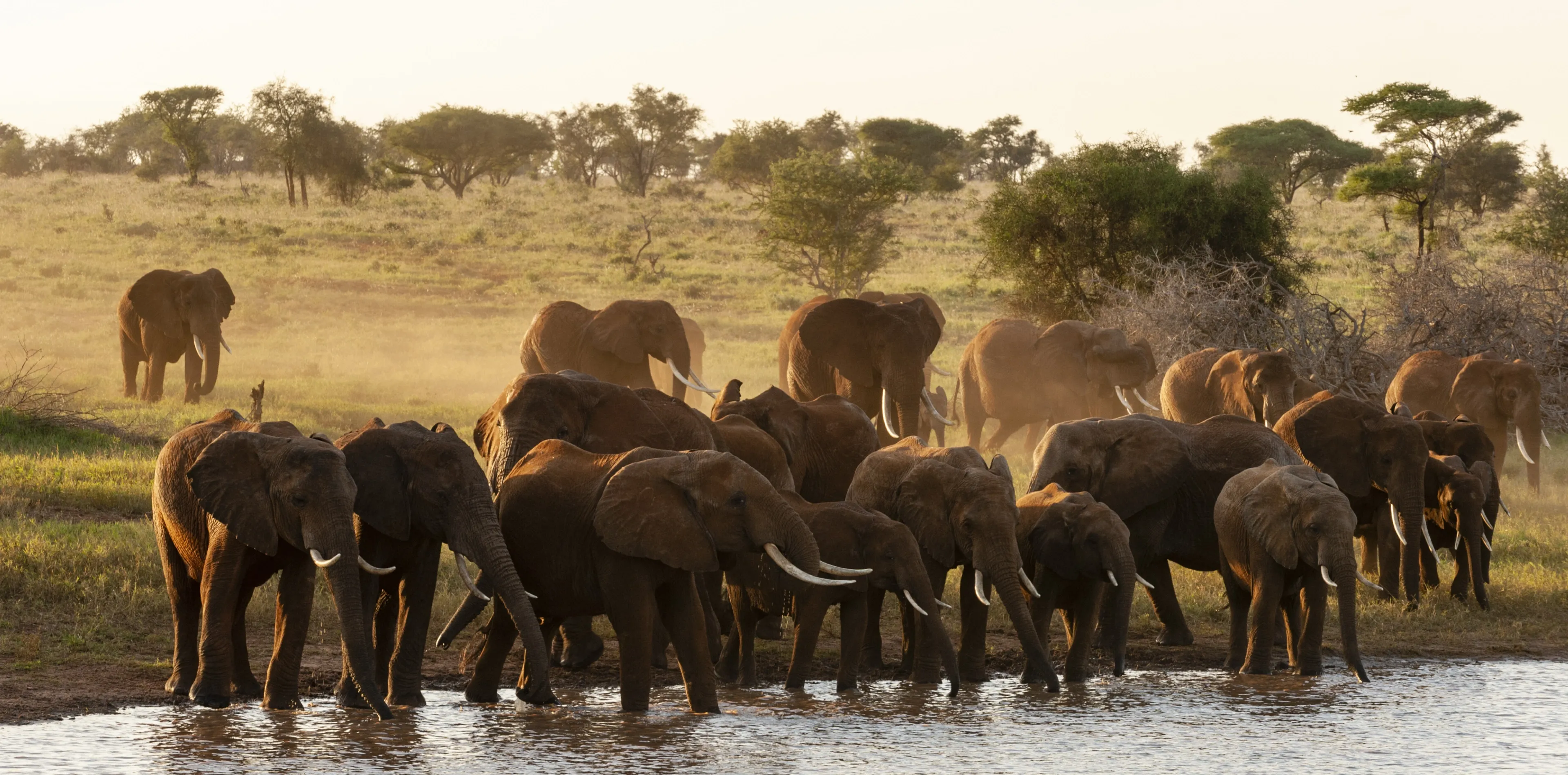 Serengeti National Park Attractions Serengeti National Park Attractions