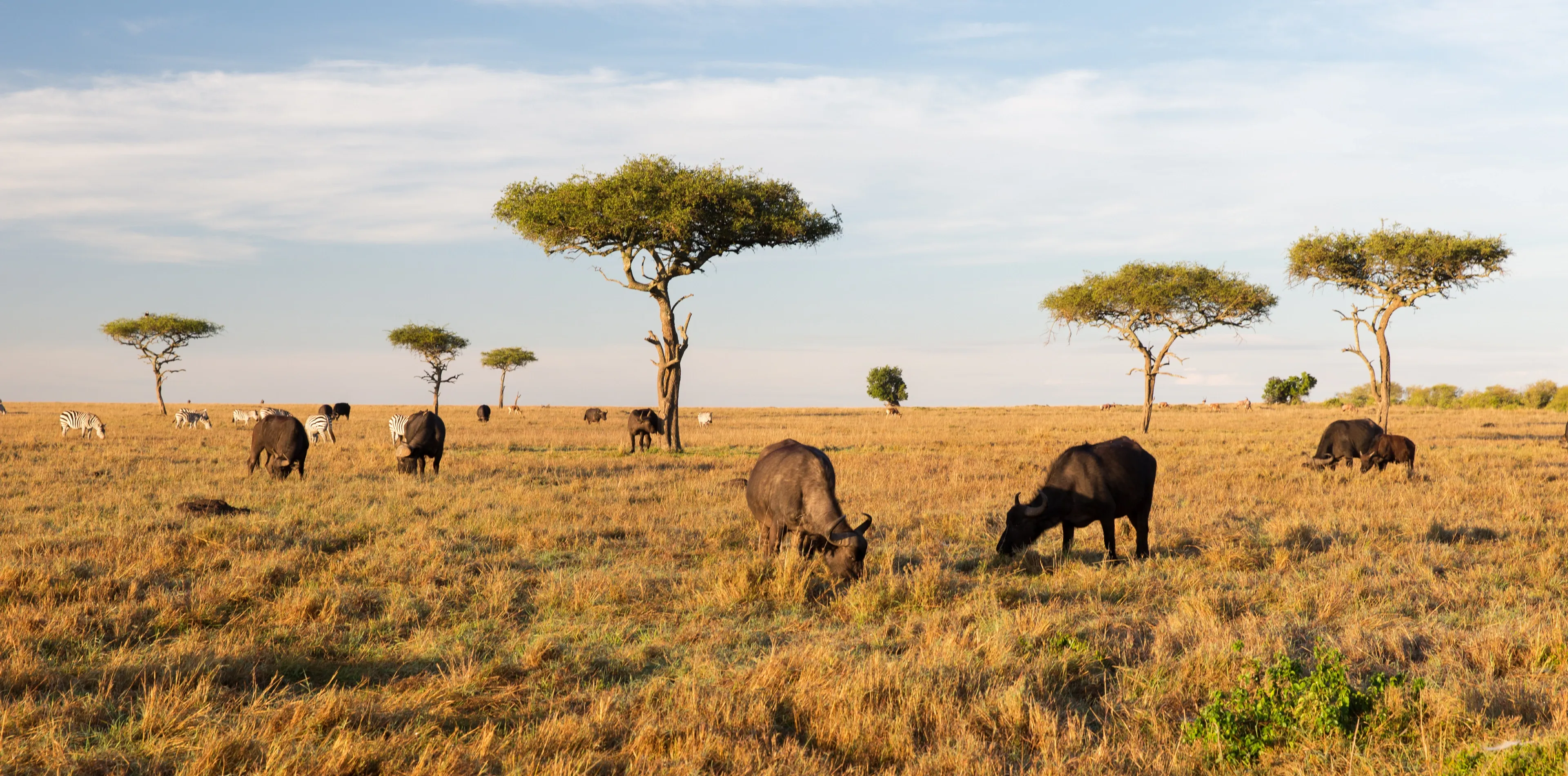 Serengeti National Park Attractions