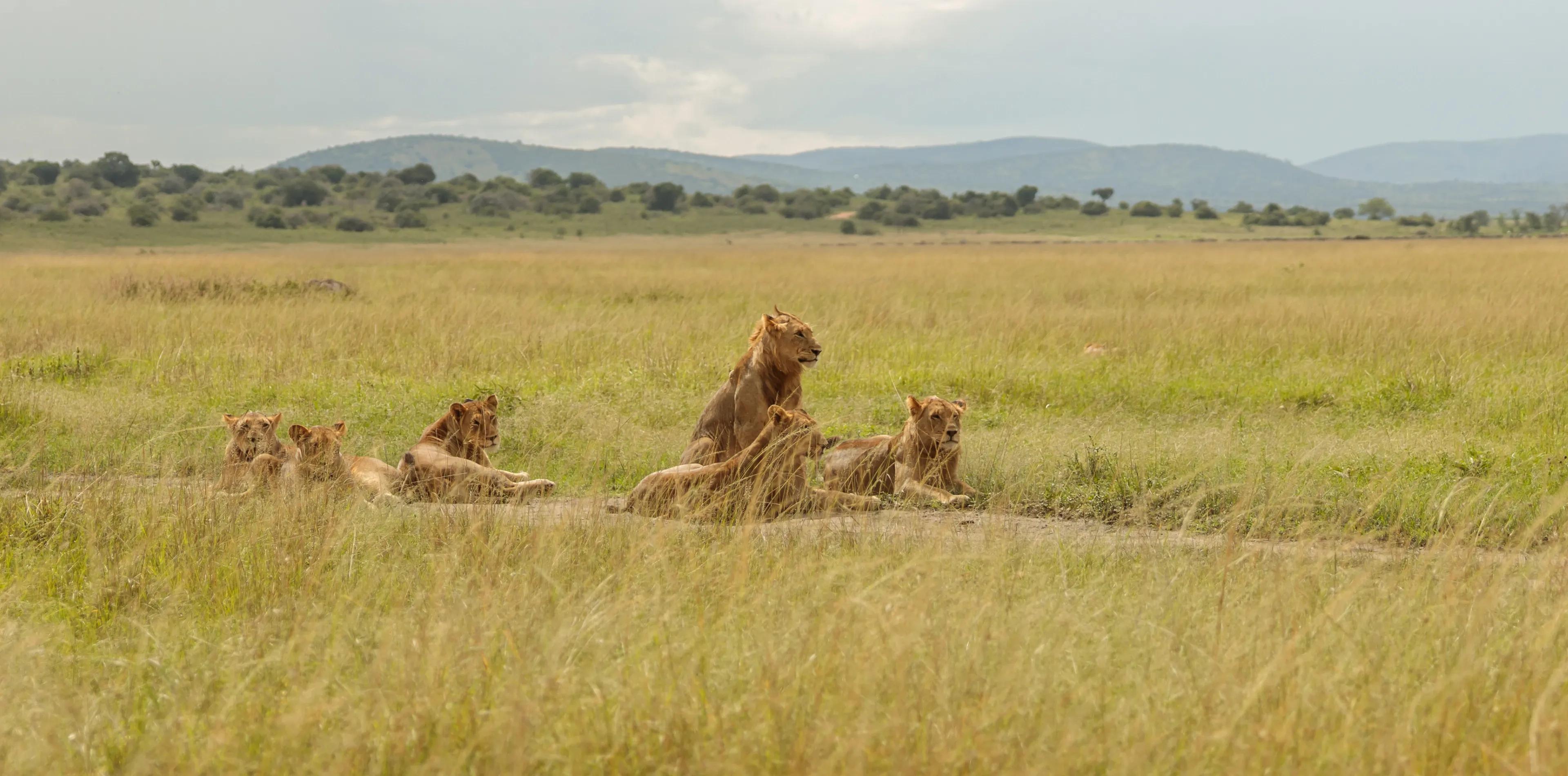 Serengeti National Park Attractions