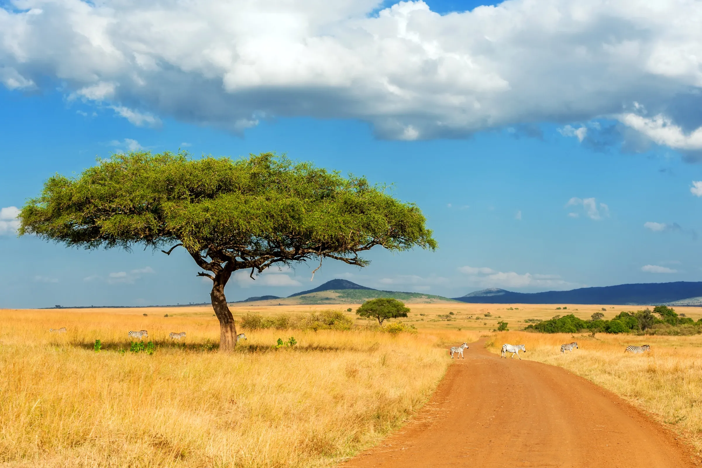 Best Time To Visit Serengeti National Park