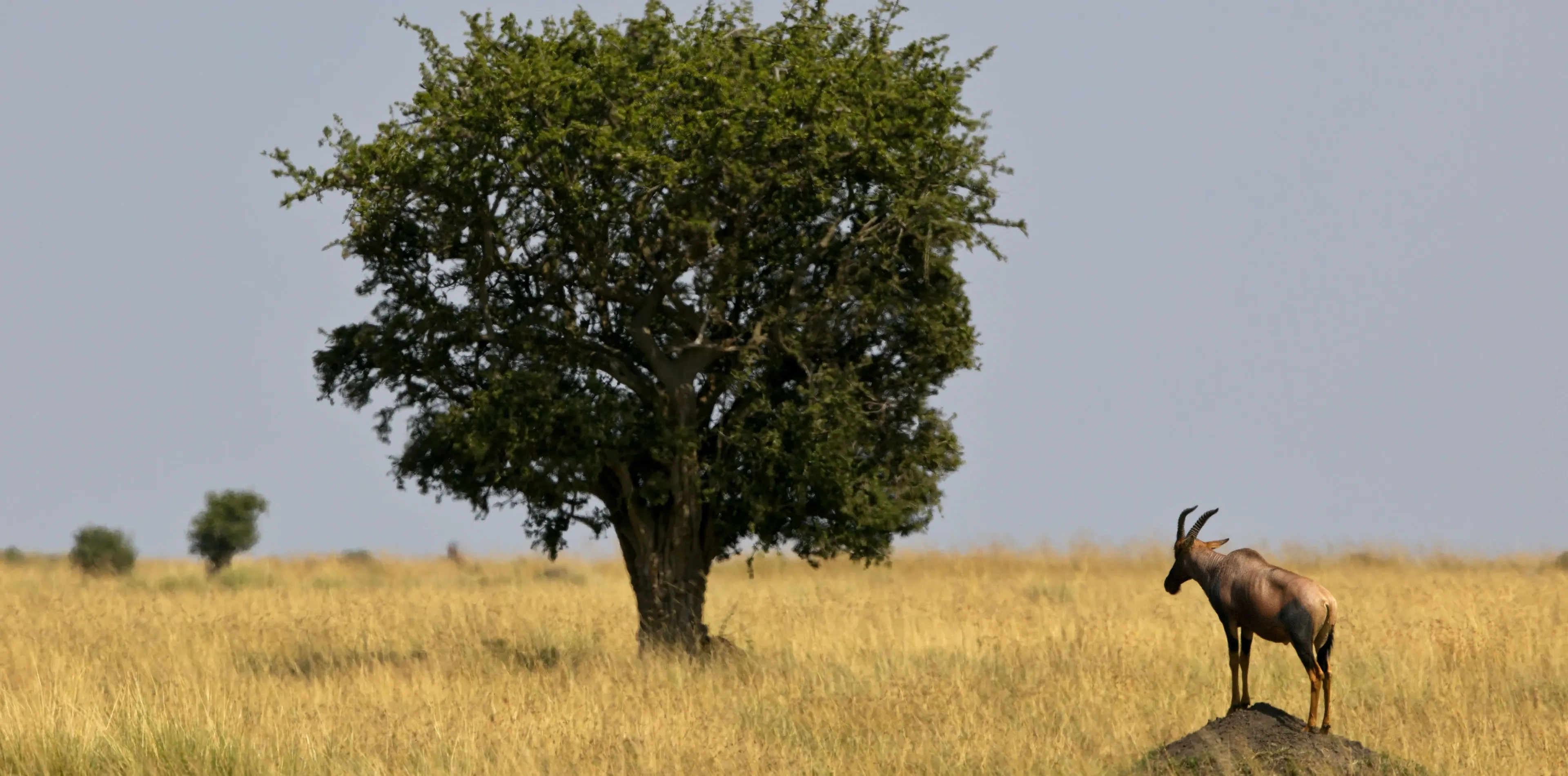 Serengeti National Park