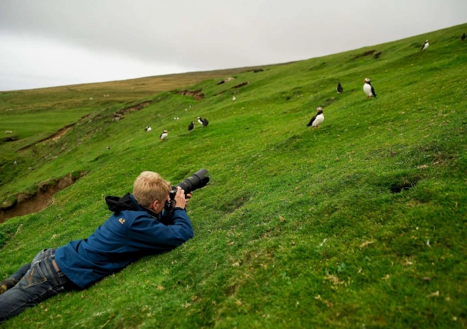 Bird Watching Safari