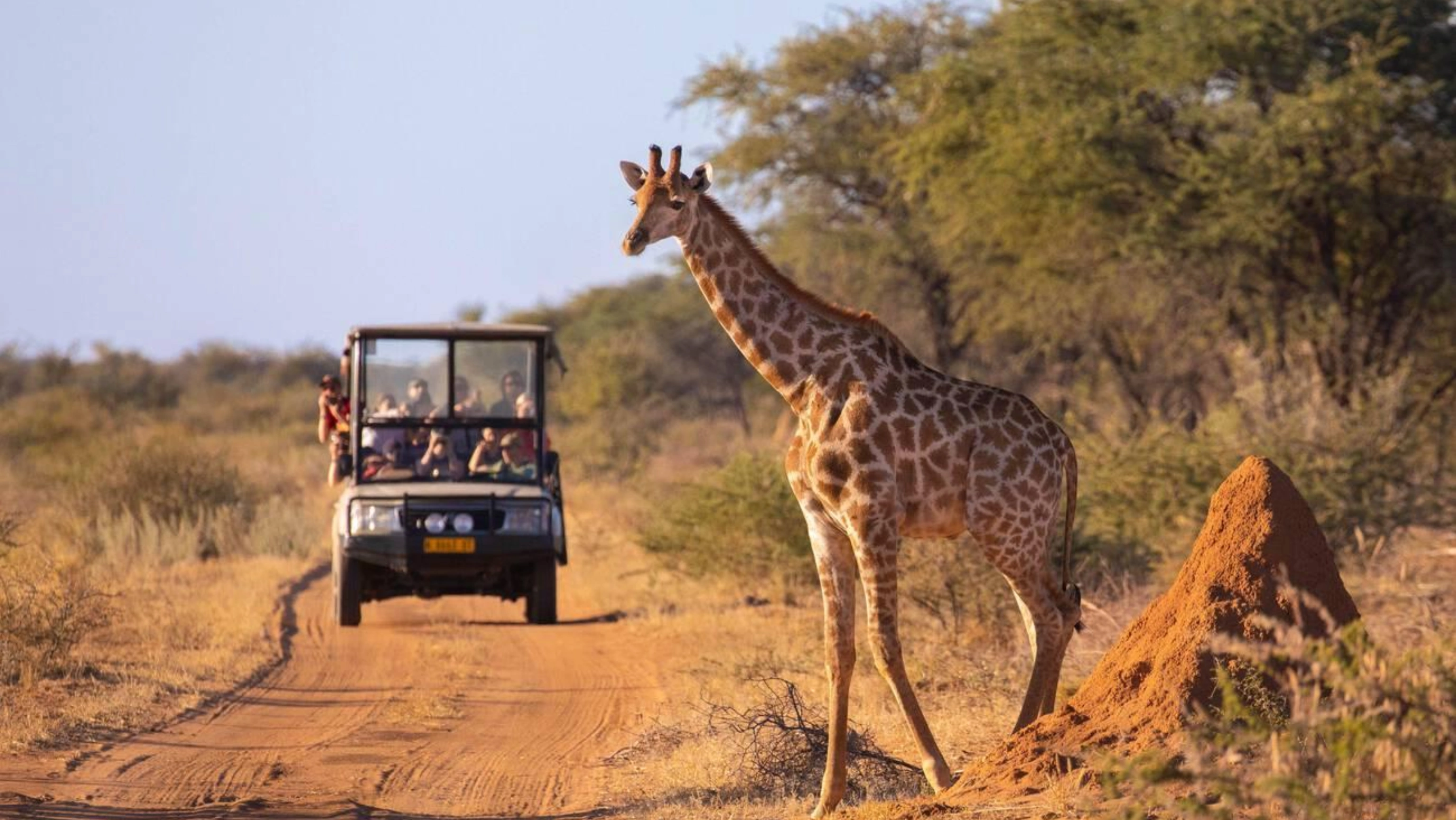 Tanzania Safari Cost