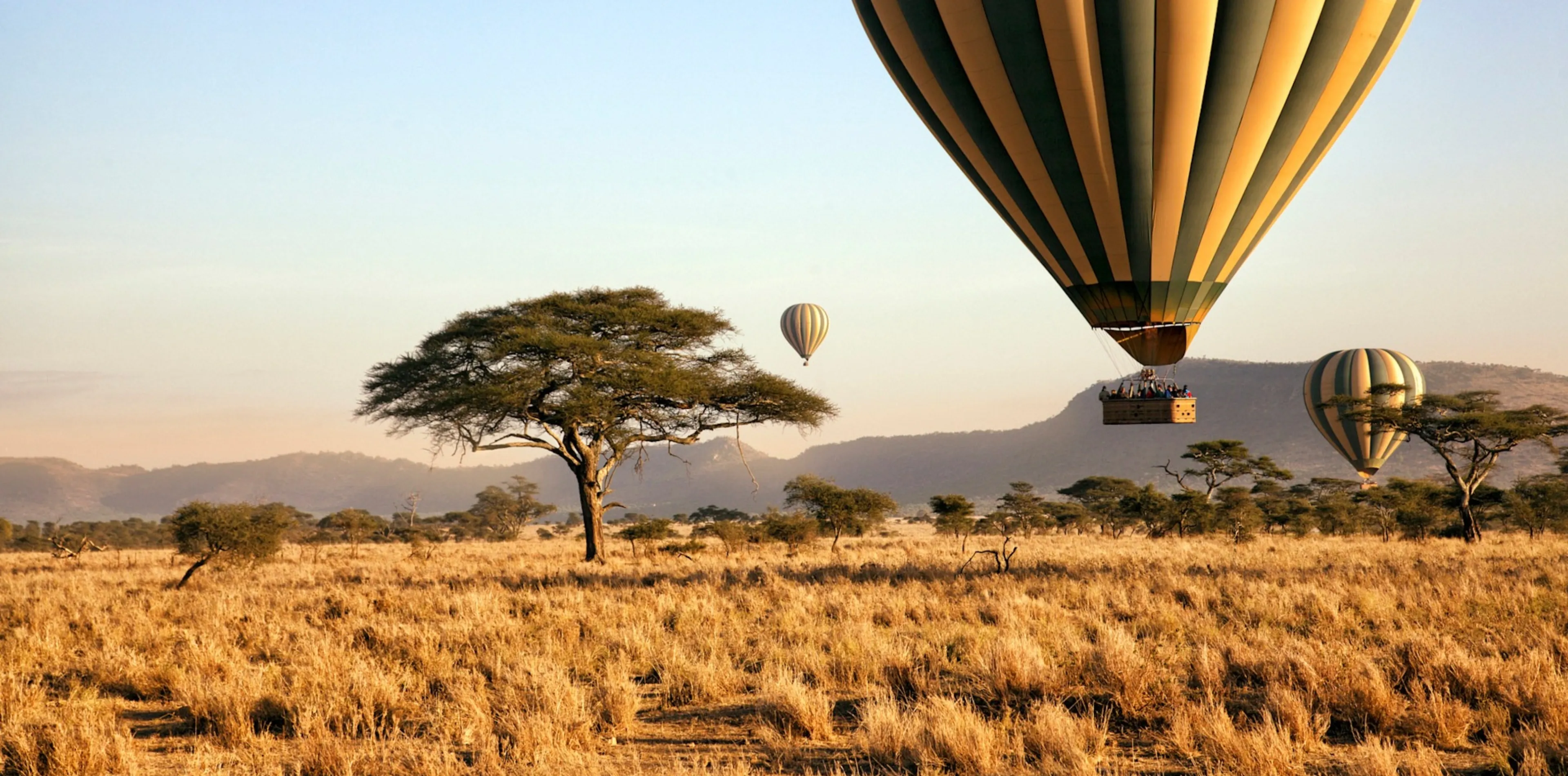 Tanzania Safari FAQs