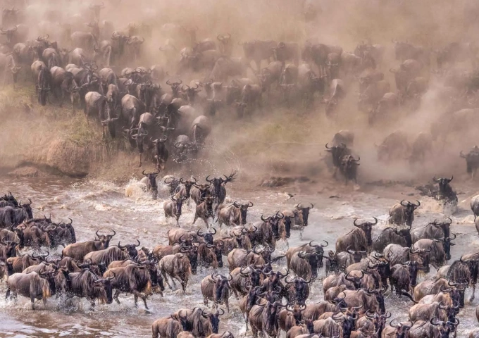 5 Days Wildebeest Migration Safari