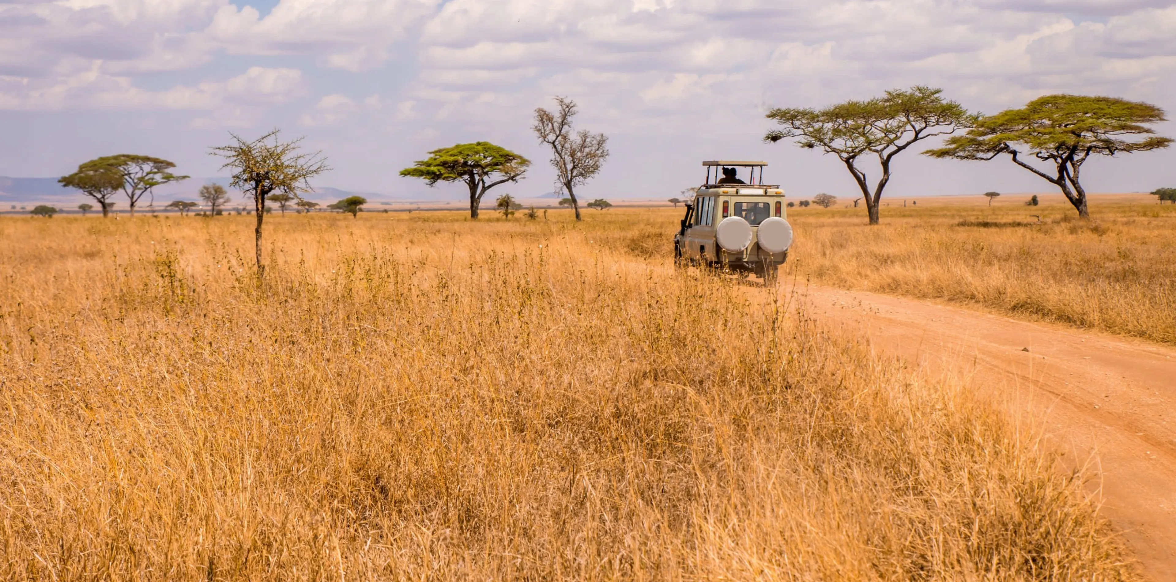 Tanzania Safari