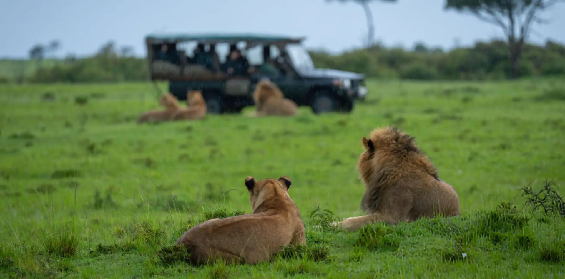 Tanzania Travel Guide