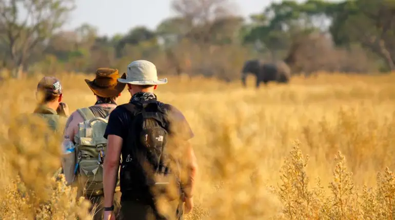 Tanzania Safari Packing List